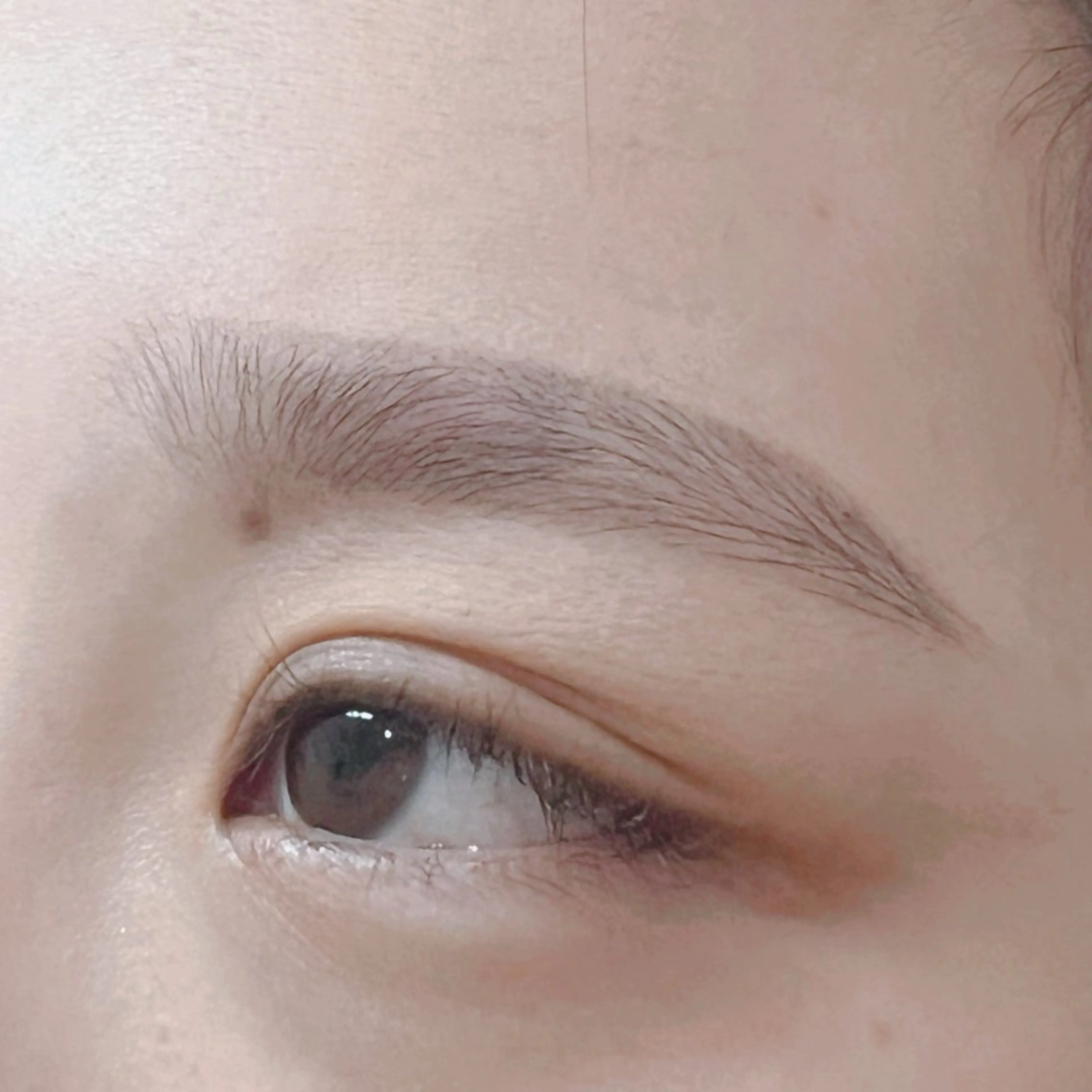 アイブロウスタイリング+美眉ワックスの写真