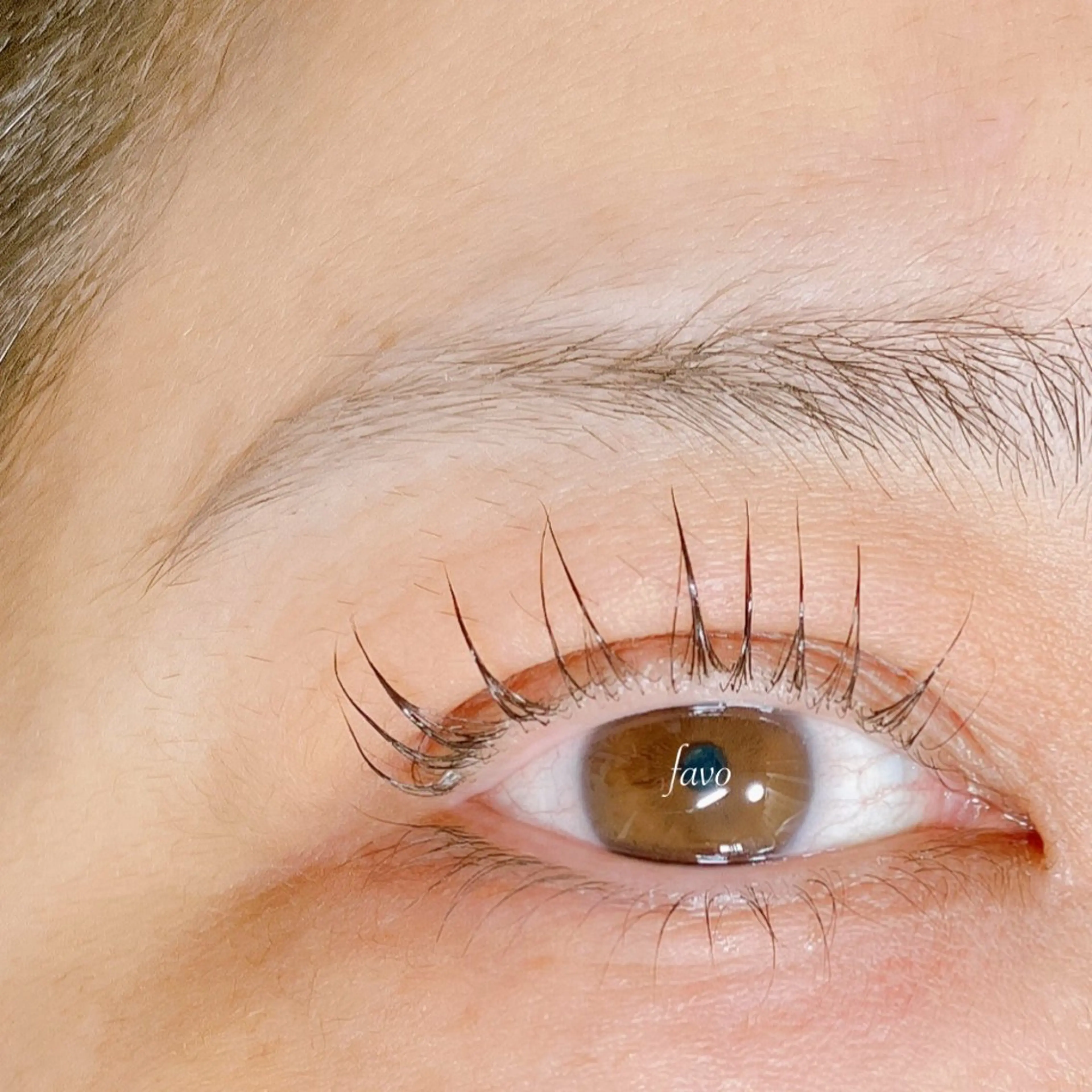 マツエク・マツパ マツパ ∞favo∞ eyelash🏝️のマツエク・マツパデザイン