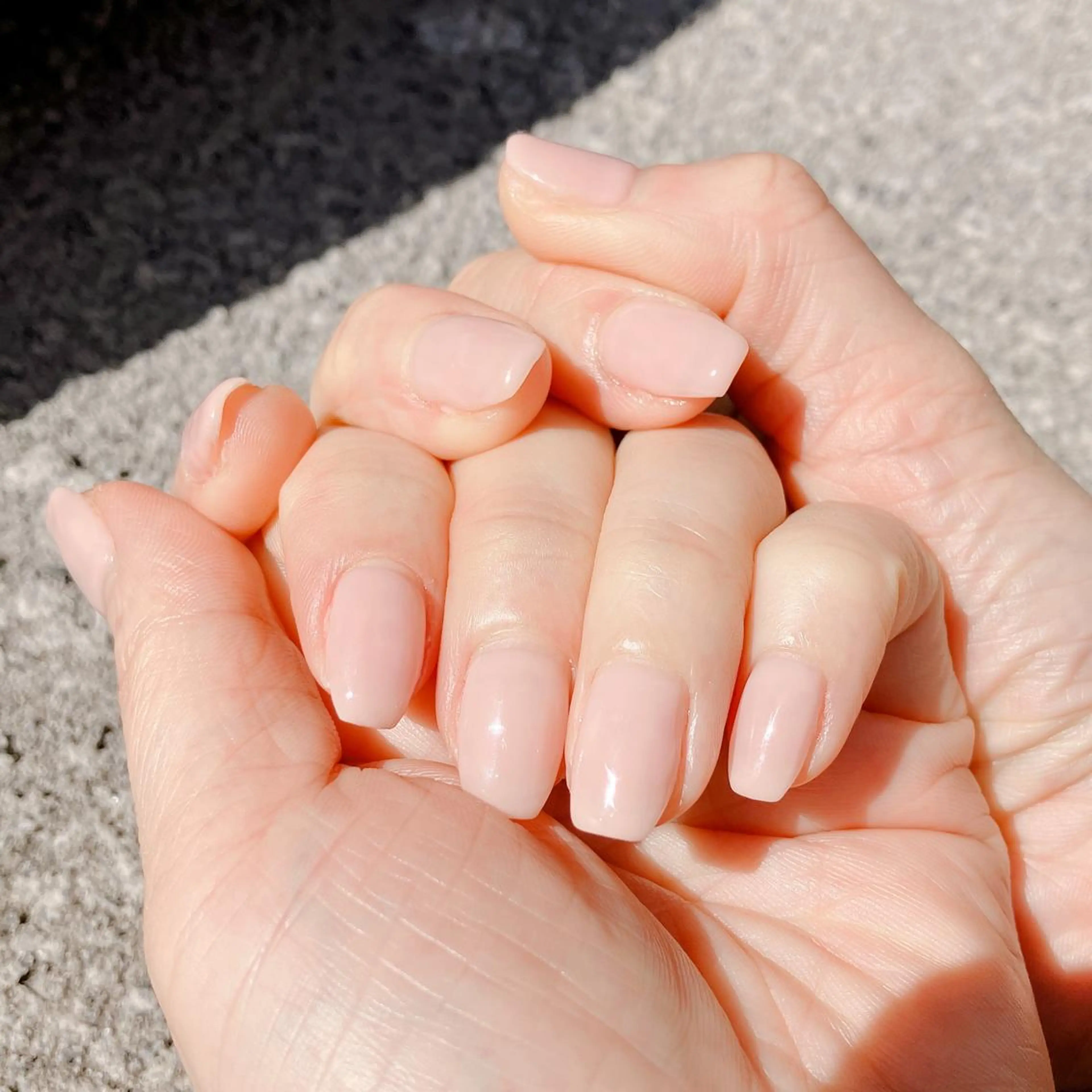 ワンカラーオフ無しの写真