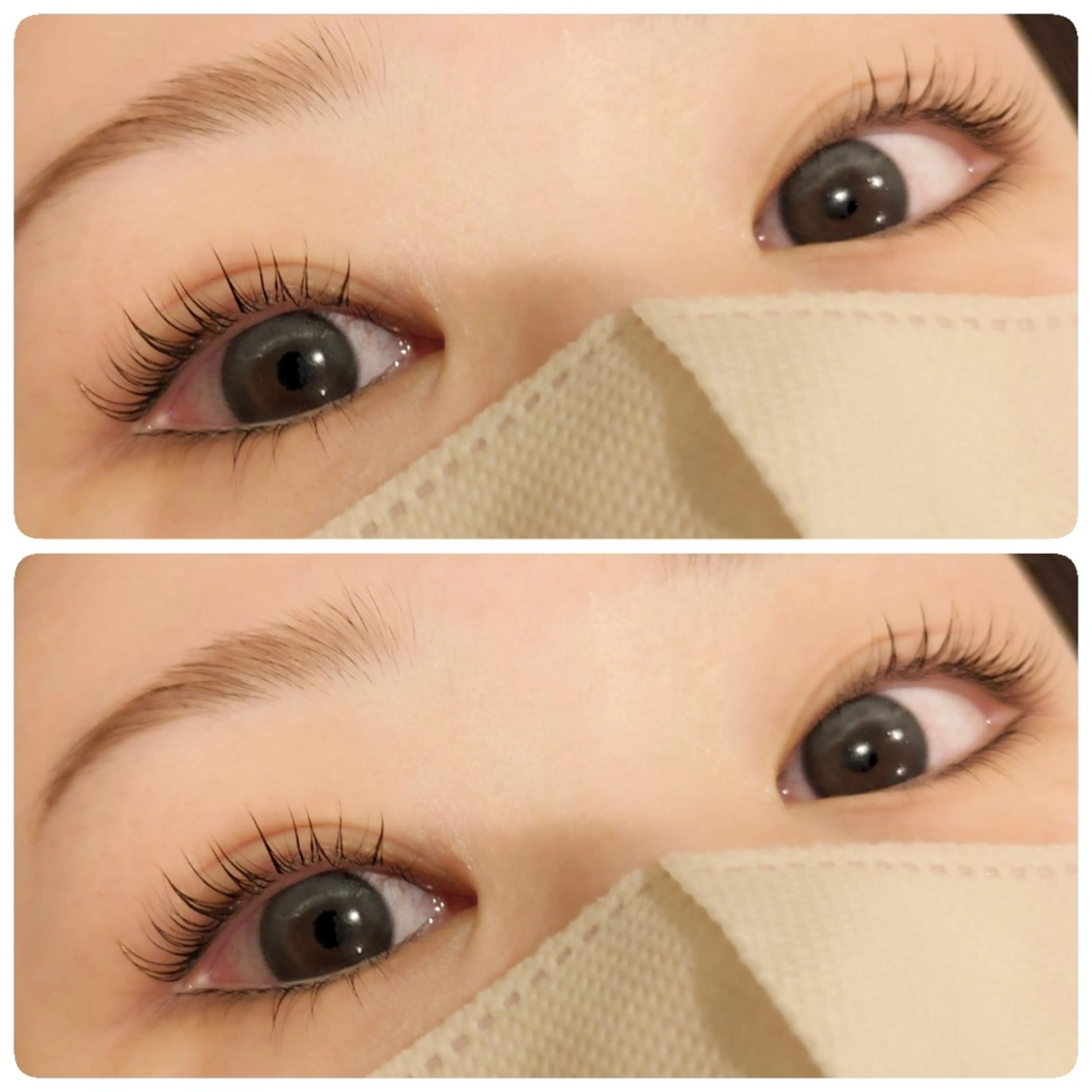 ✨まつ毛パーマ✨アイシャンプー、トリートメント、仕上げ美容液付の写真