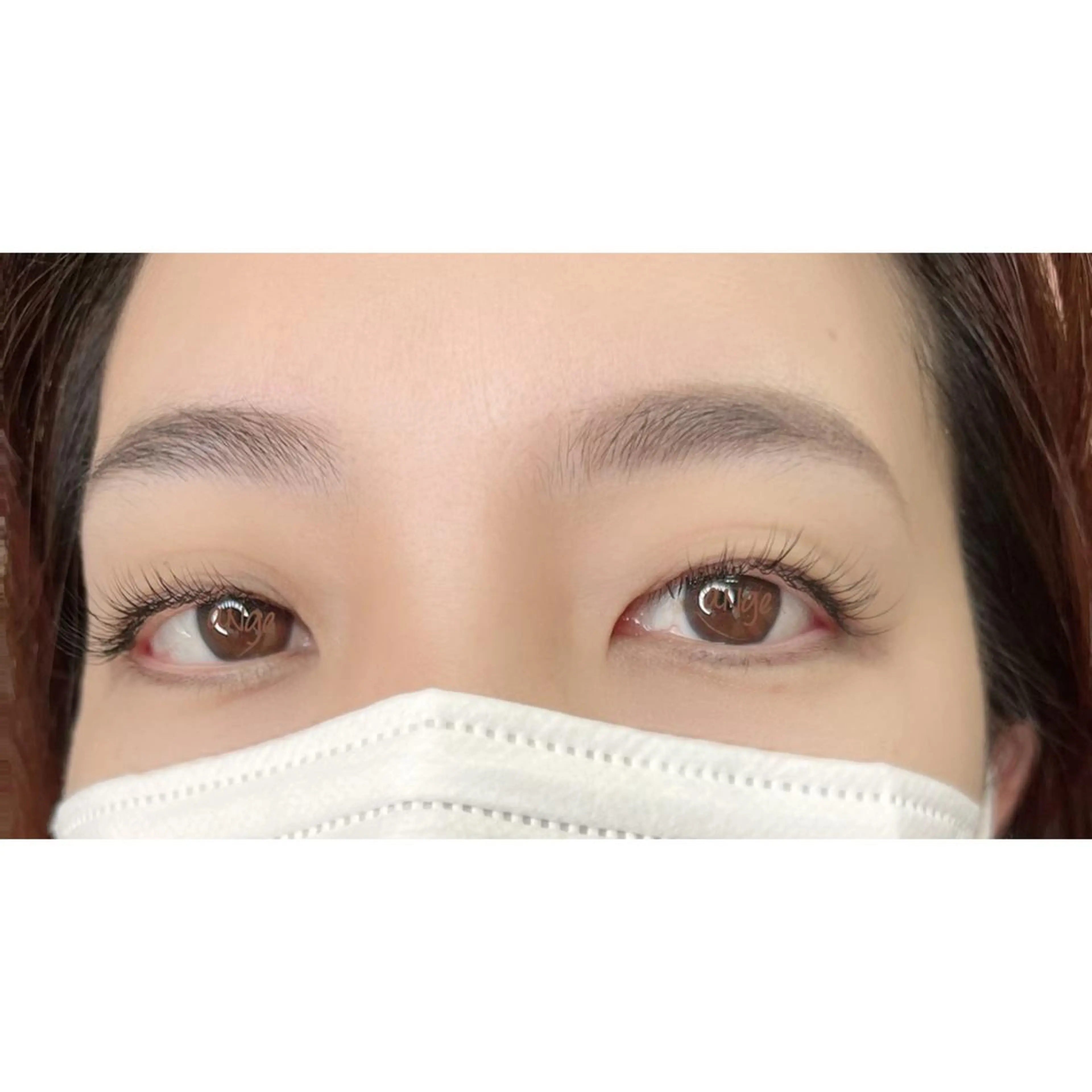 【新規】抗菌・高級セーブル 100本の写真