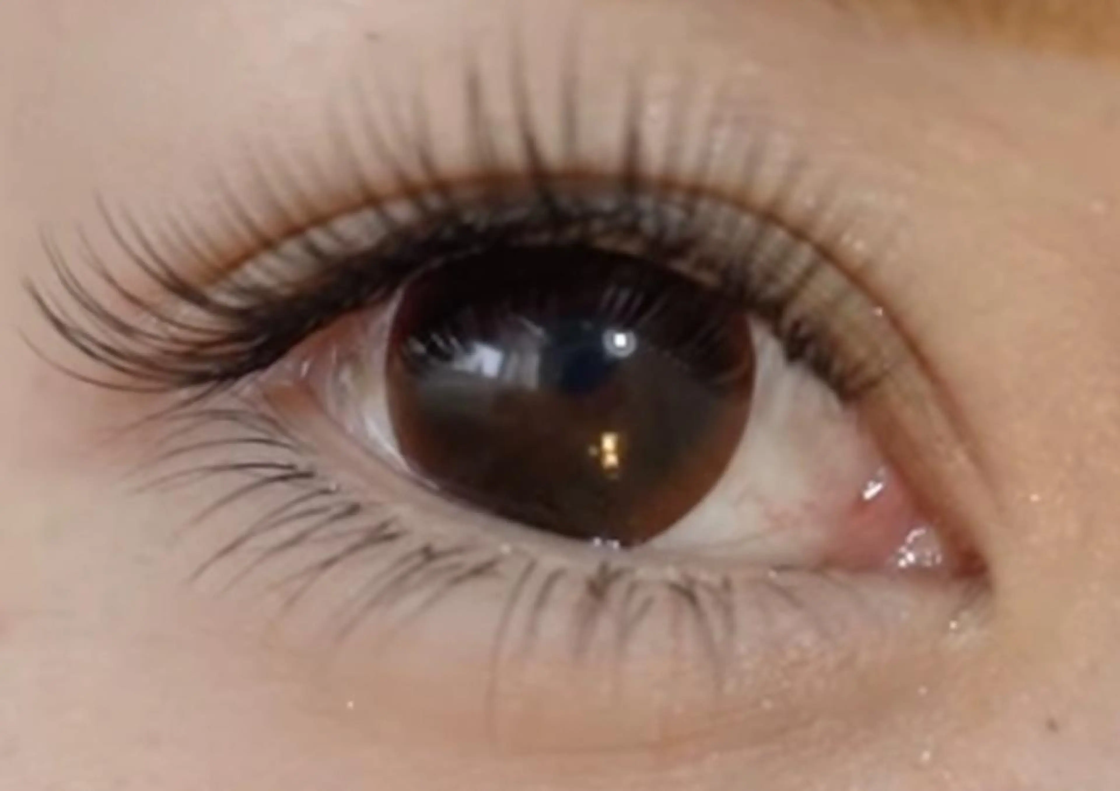 マツエク・マツパ マツパ SG アイラッシュ ラッシュリフト🌟のその他イメージ