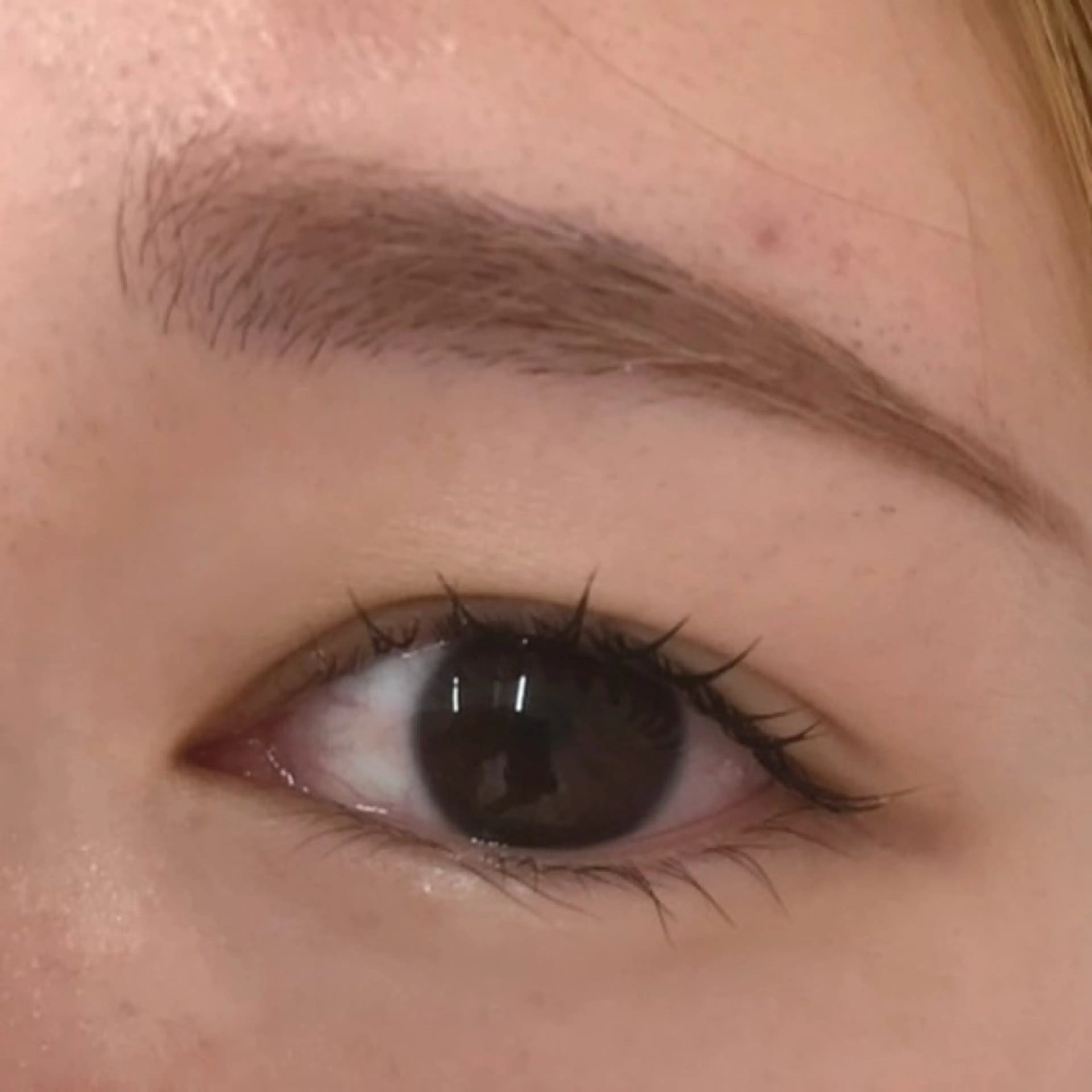 マツエク・マツパ uland arisaのマツエク・マツパデザイン