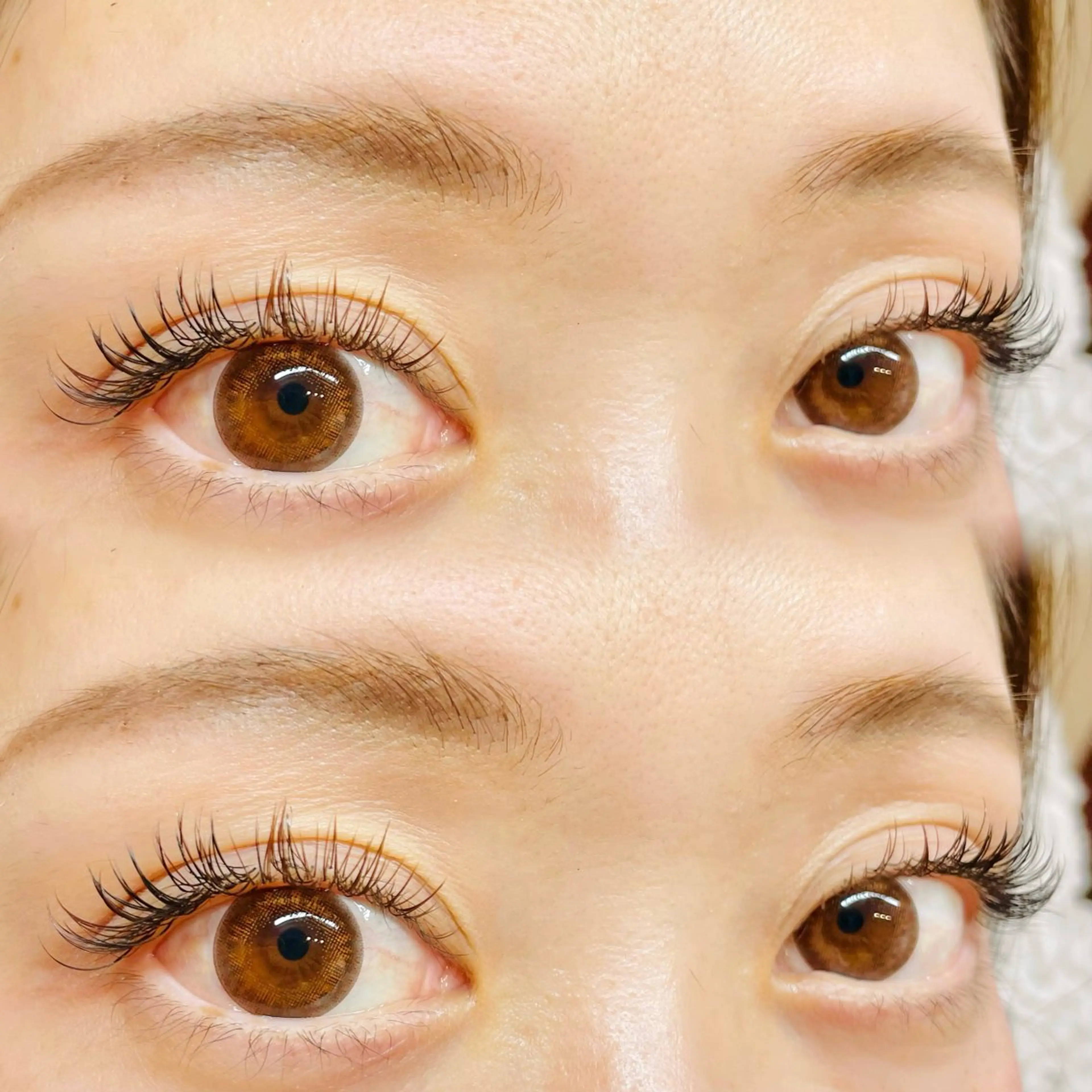 マツエク・マツパ カラーマツエク 新小岩まつ毛眉毛 BelkaLashの眉毛・アイブロウイメージ