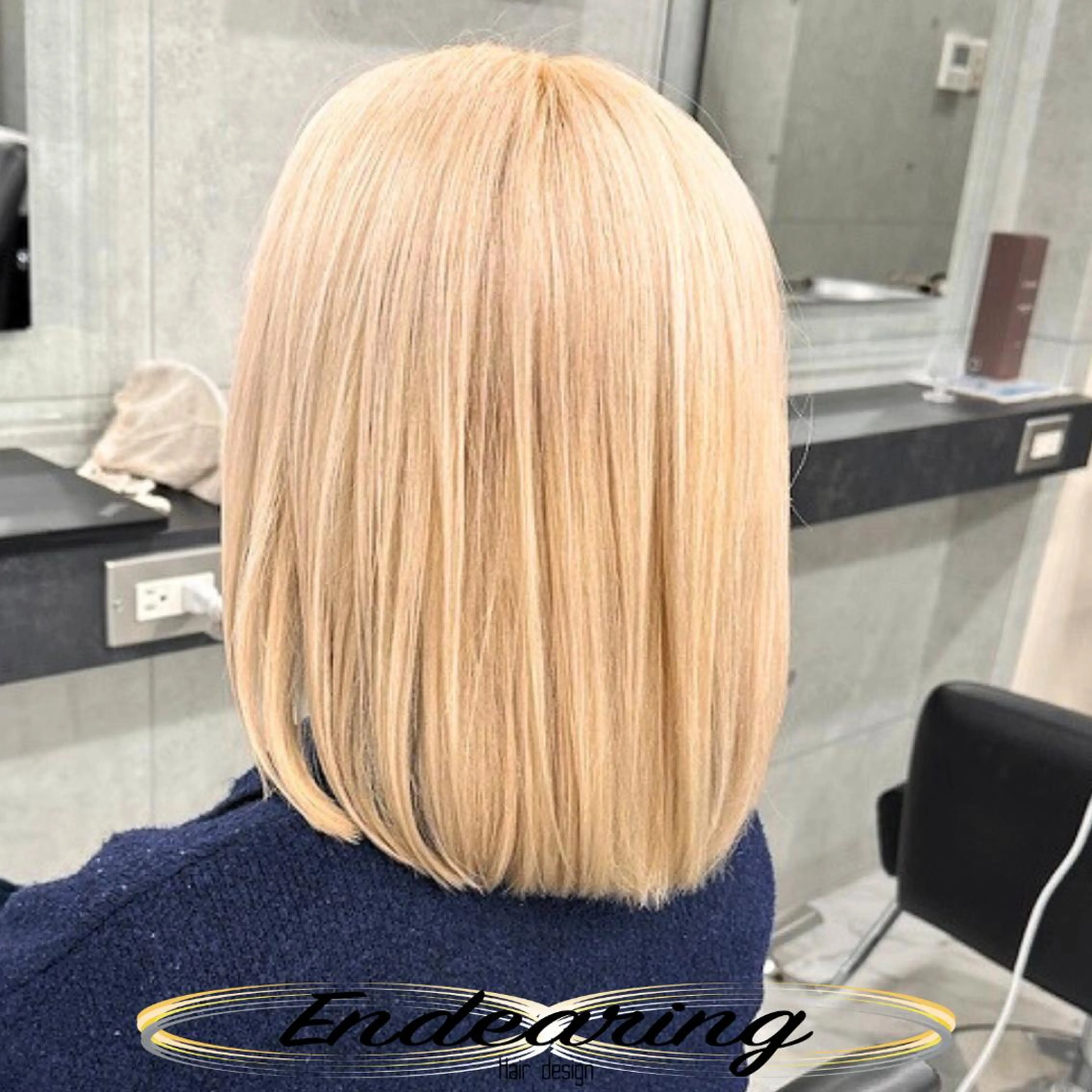 カラー ブリーチ 透明感カラー シルバー ボブ ヘアカラー Endearing 銀座/レイヤーカットのヘアスタイル