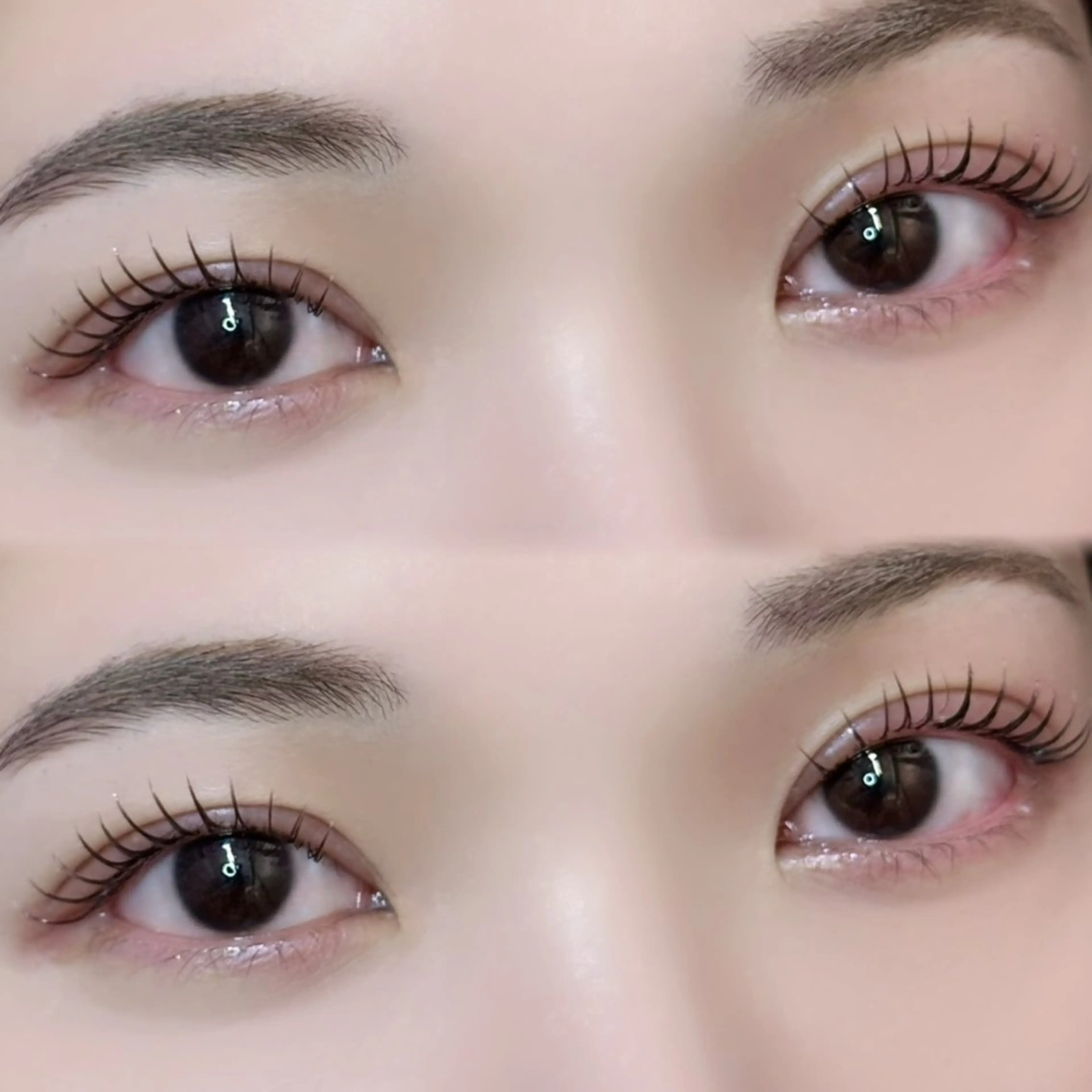 マツエク・マツパ マツエク 🦖fein. YUINA🦕⋆͛のマツエク・マツパデザイン