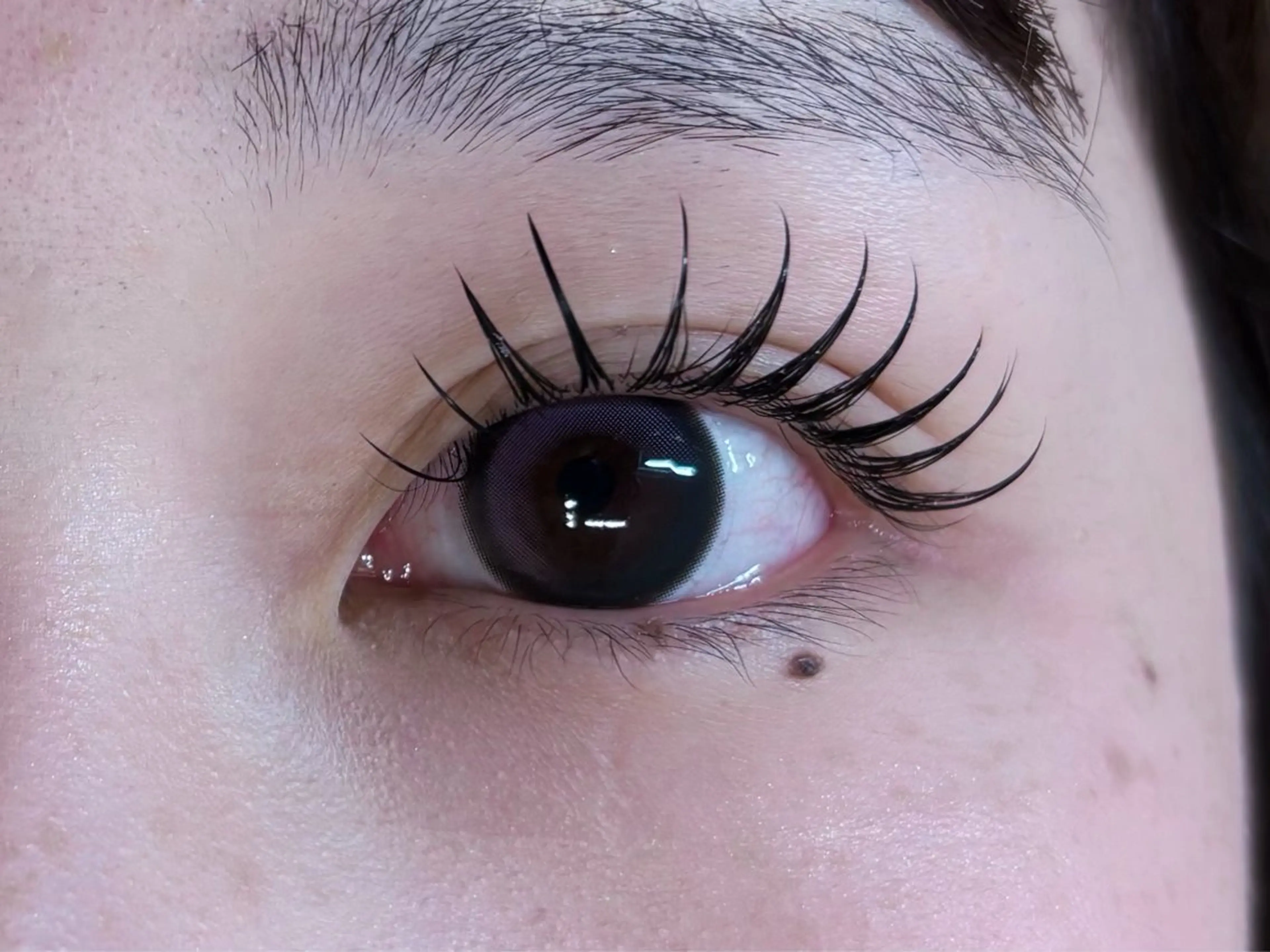 フラットラッシュ120本シングルエクステオフ込み⚠️LED.バインドロックオフ代別の写真