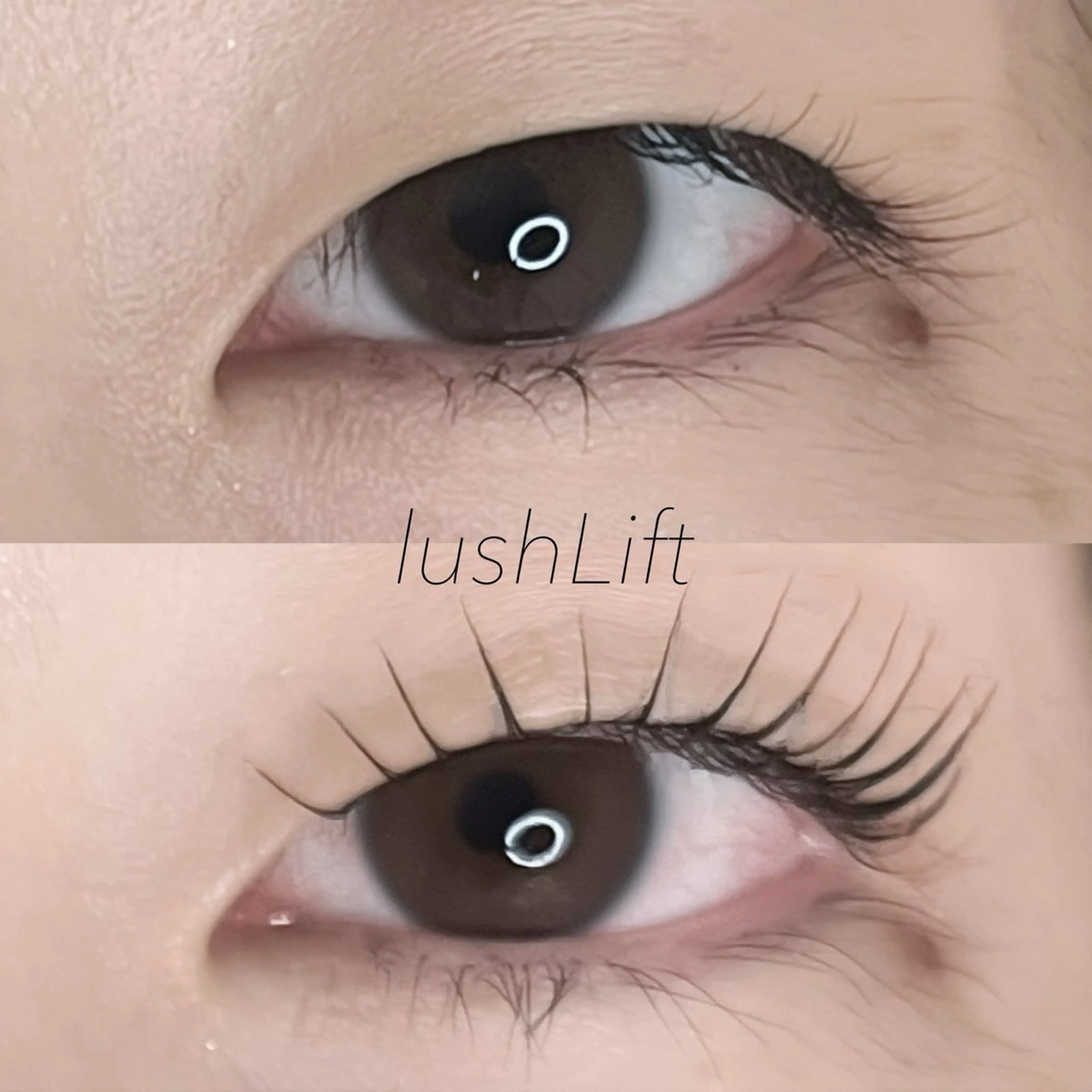 マツエク・マツパ Selas mmの眉毛・アイブロウイメージ