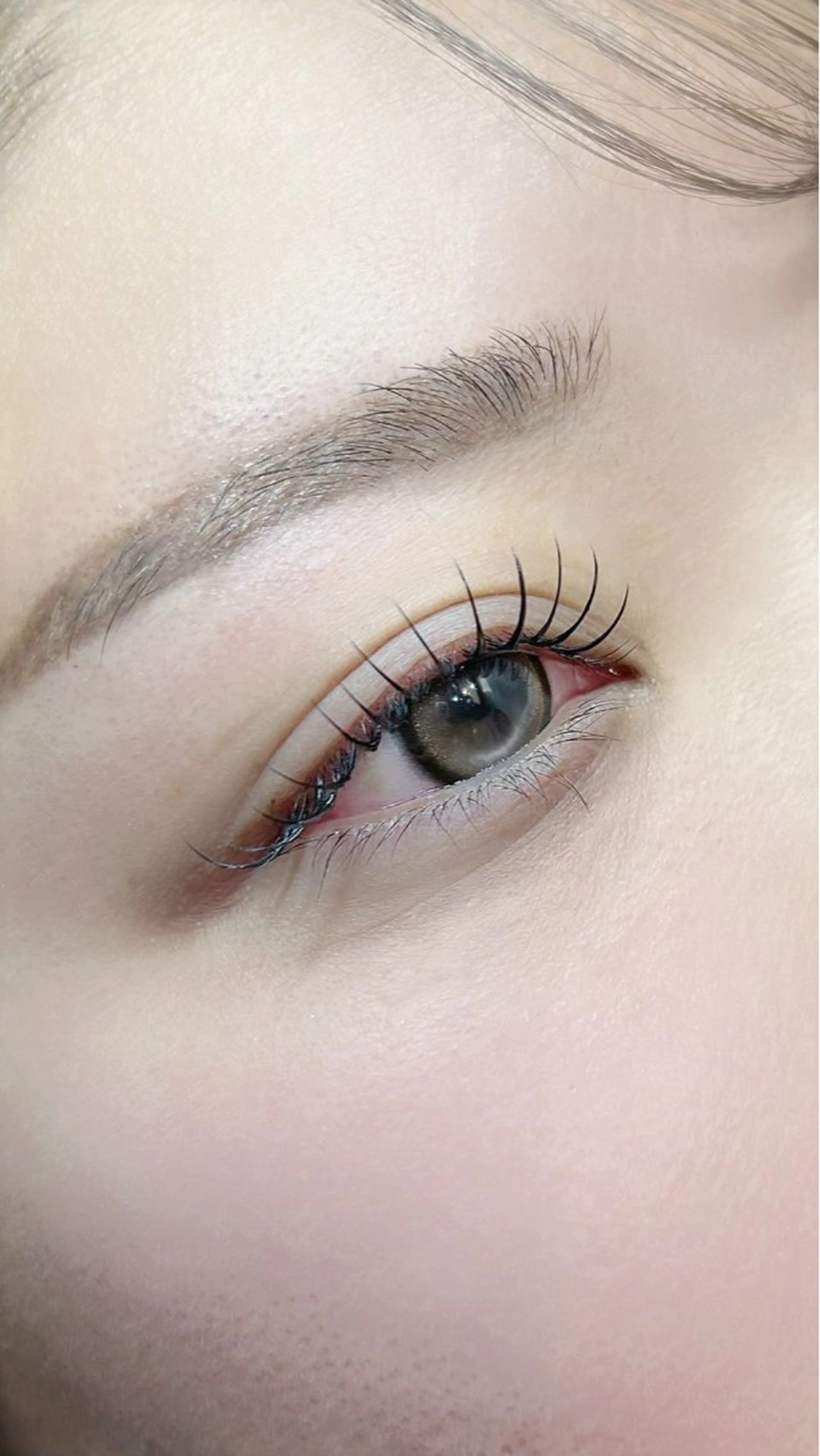 マツエク・マツパ マツエク oma 🕊MISAKIのマツエク・マツパデザイン