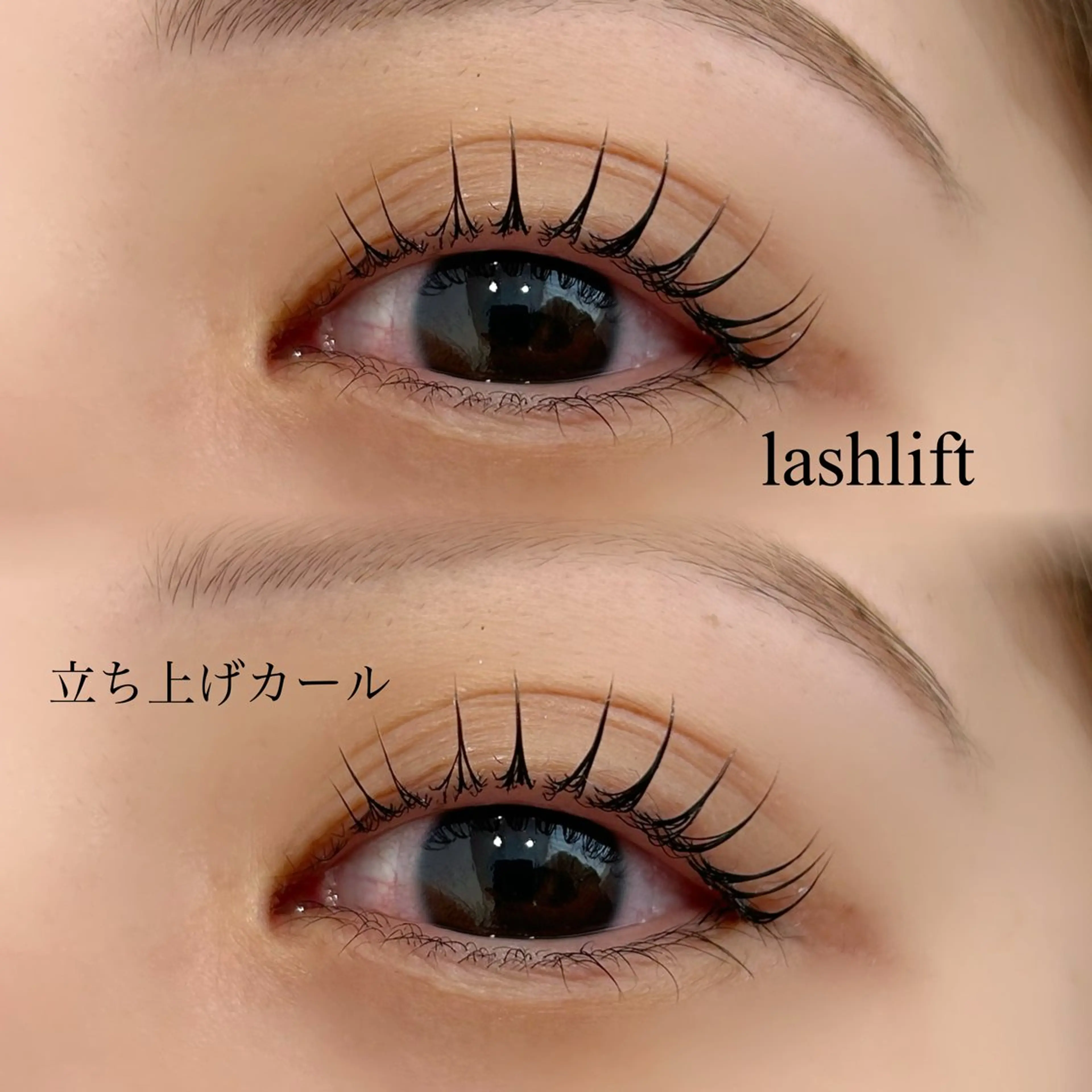 マツエク・マツパ chiri／似合わせ ×韓ドルまつ毛パーマのマツエク・マツパデザイン