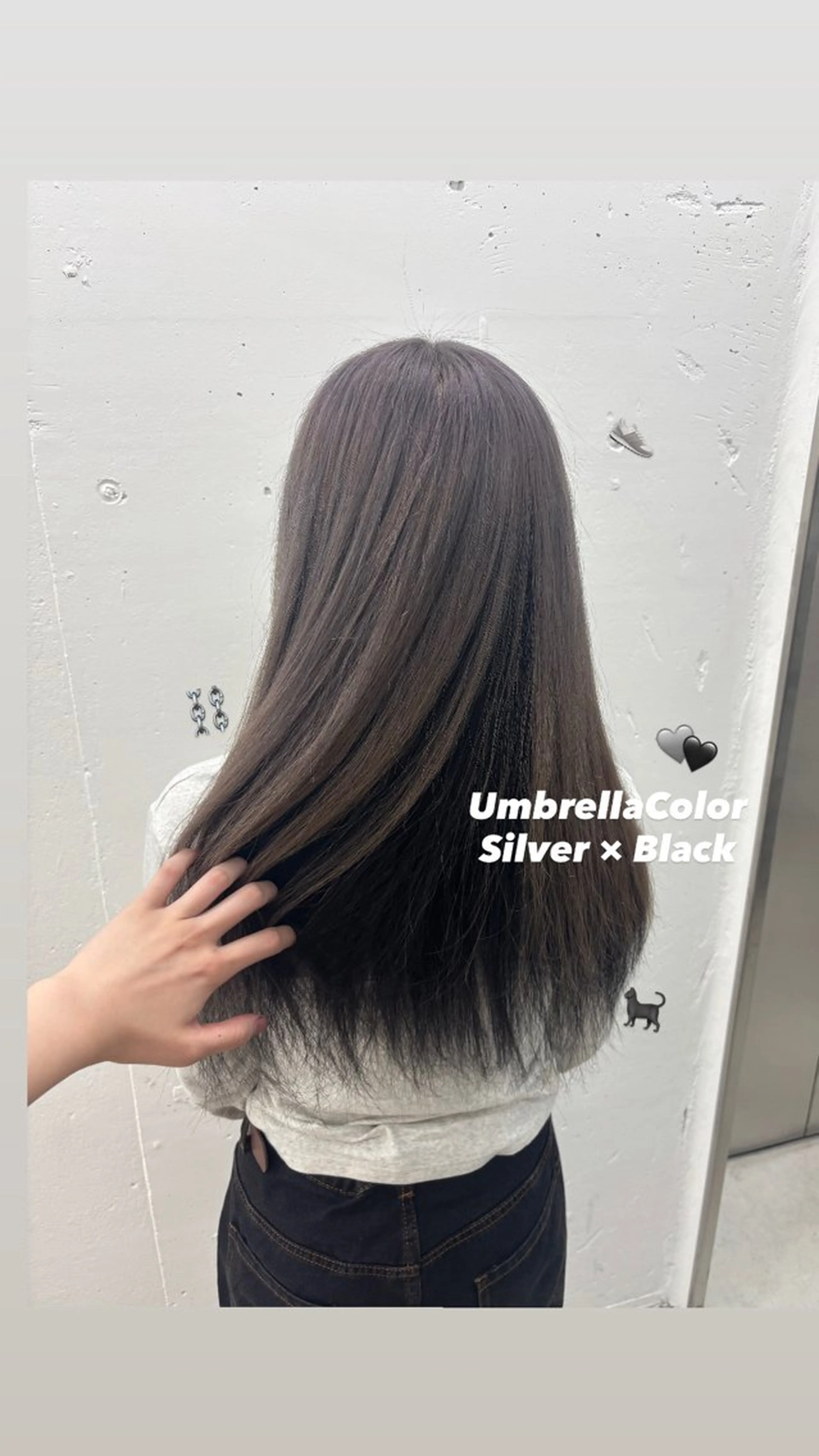 ロング カラー 黒髪 シルバー 🌼あいり🌼 JILLSTUDIOのヘアスタイル