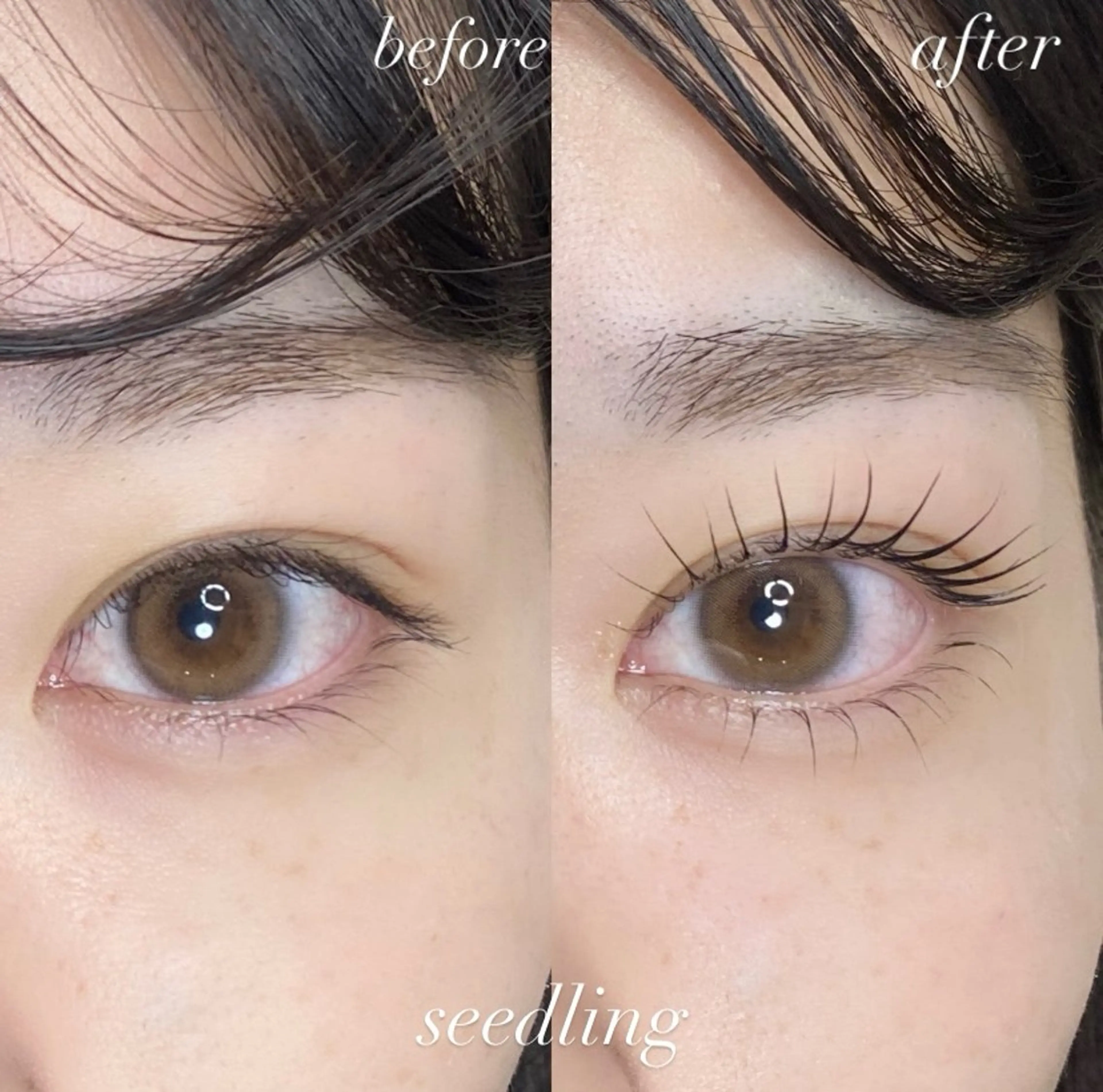 マツエク・マツパ シードリン 府内店 杉田のマツエク・マツパデザイン