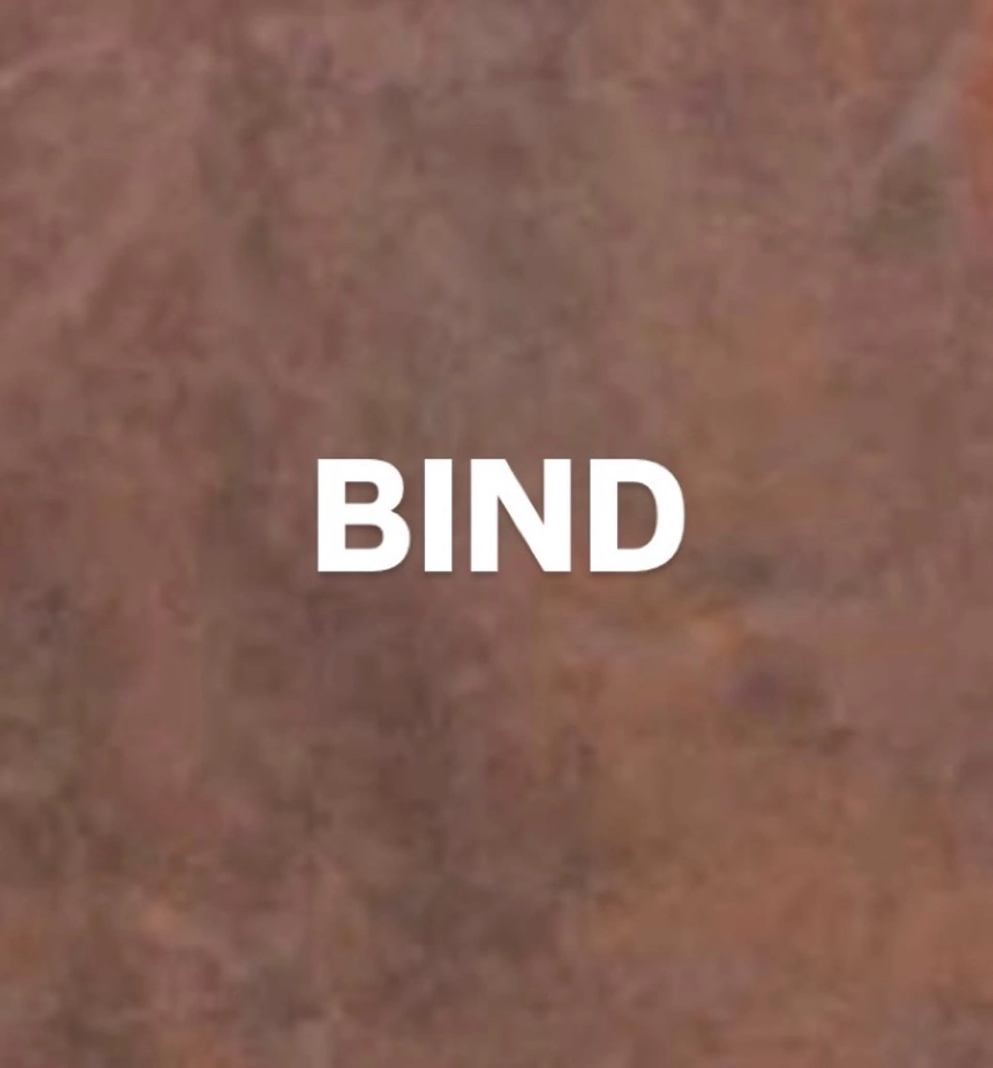 バインドロック100本+オフ無料+コーティングの写真