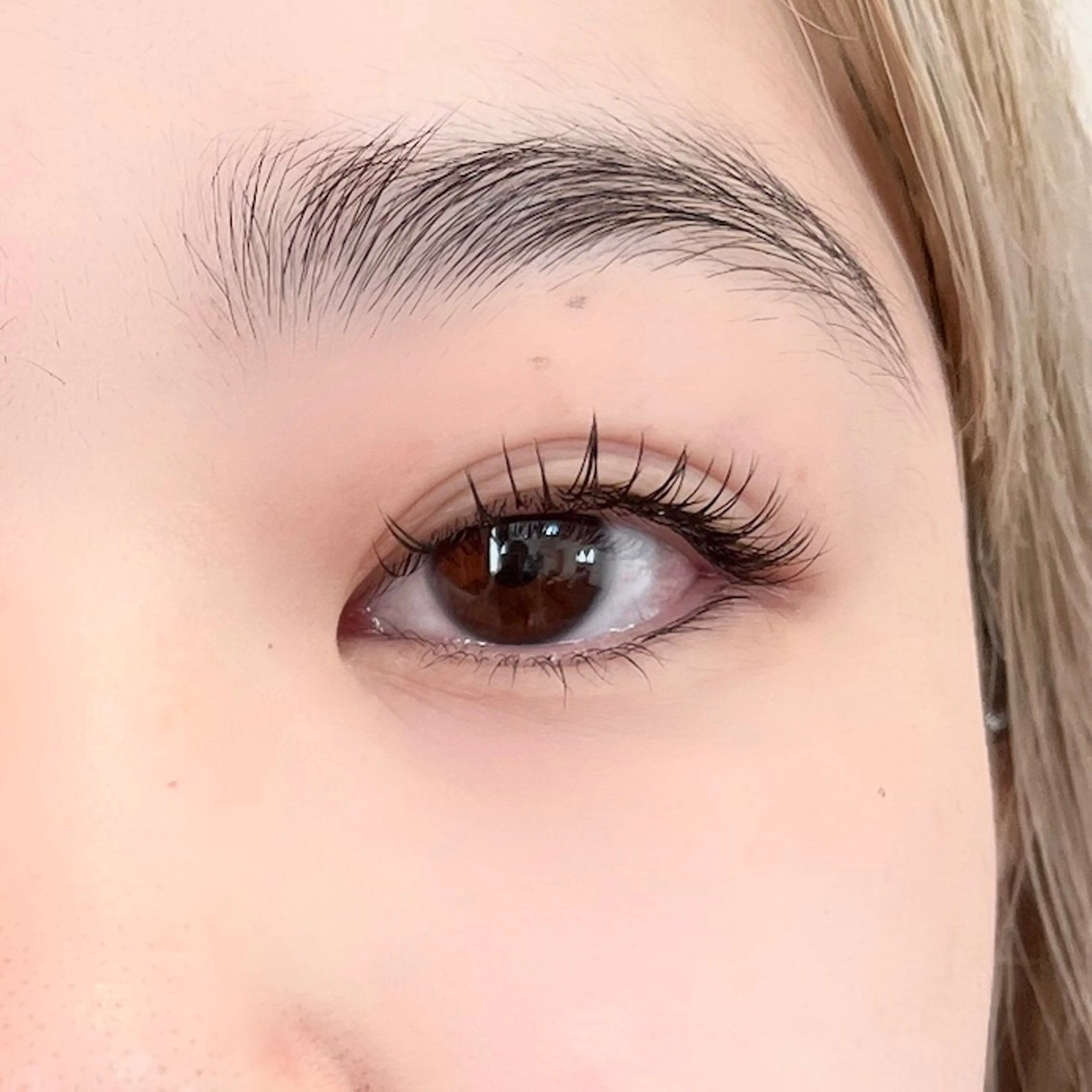 マツエク・マツパ マツエク 🦋平林 未莉🦋✨のマツエク・マツパデザイン