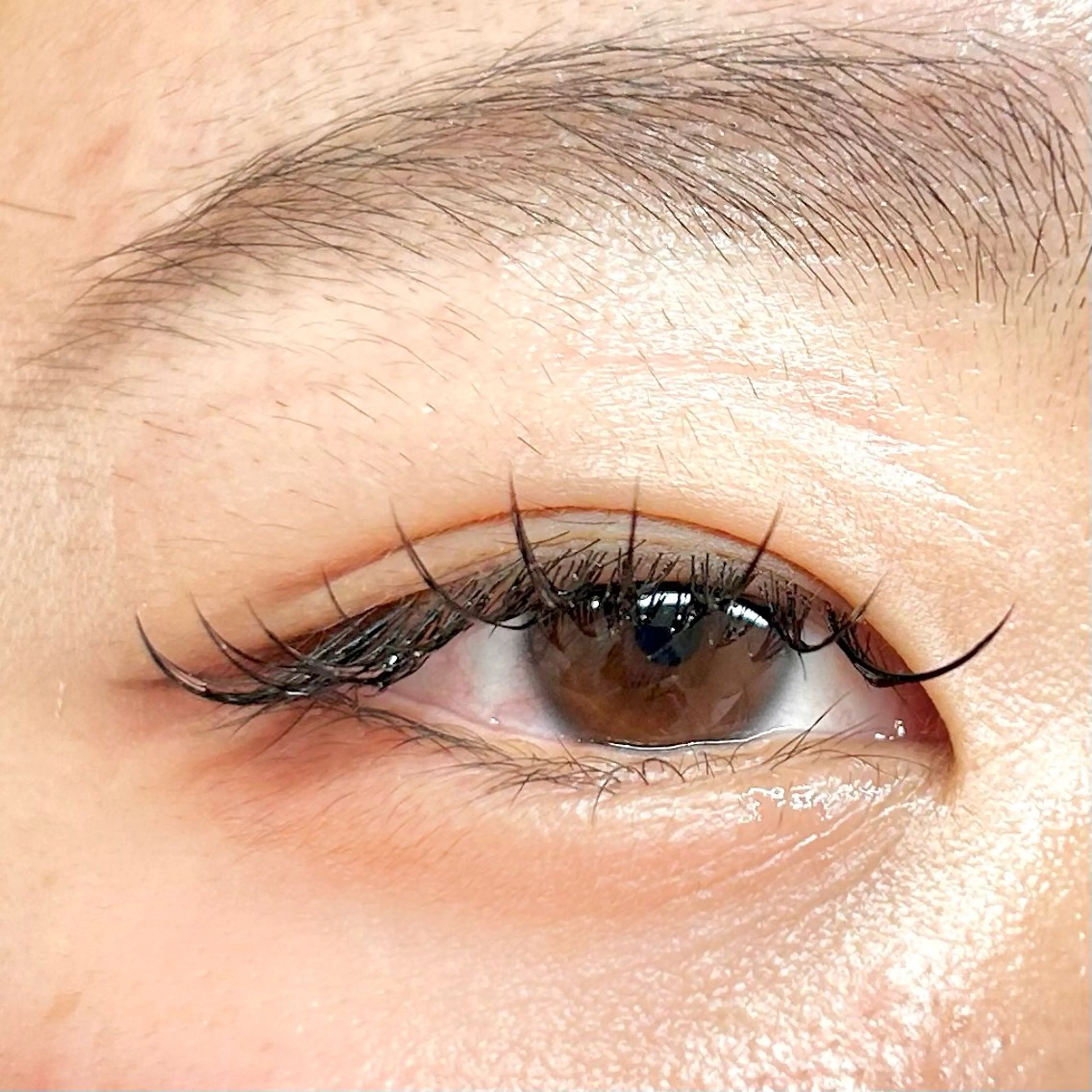 マツエク・マツパ Jカール アイブロウ/HBL 🦄MEMEの眉毛・アイブロウイメージ