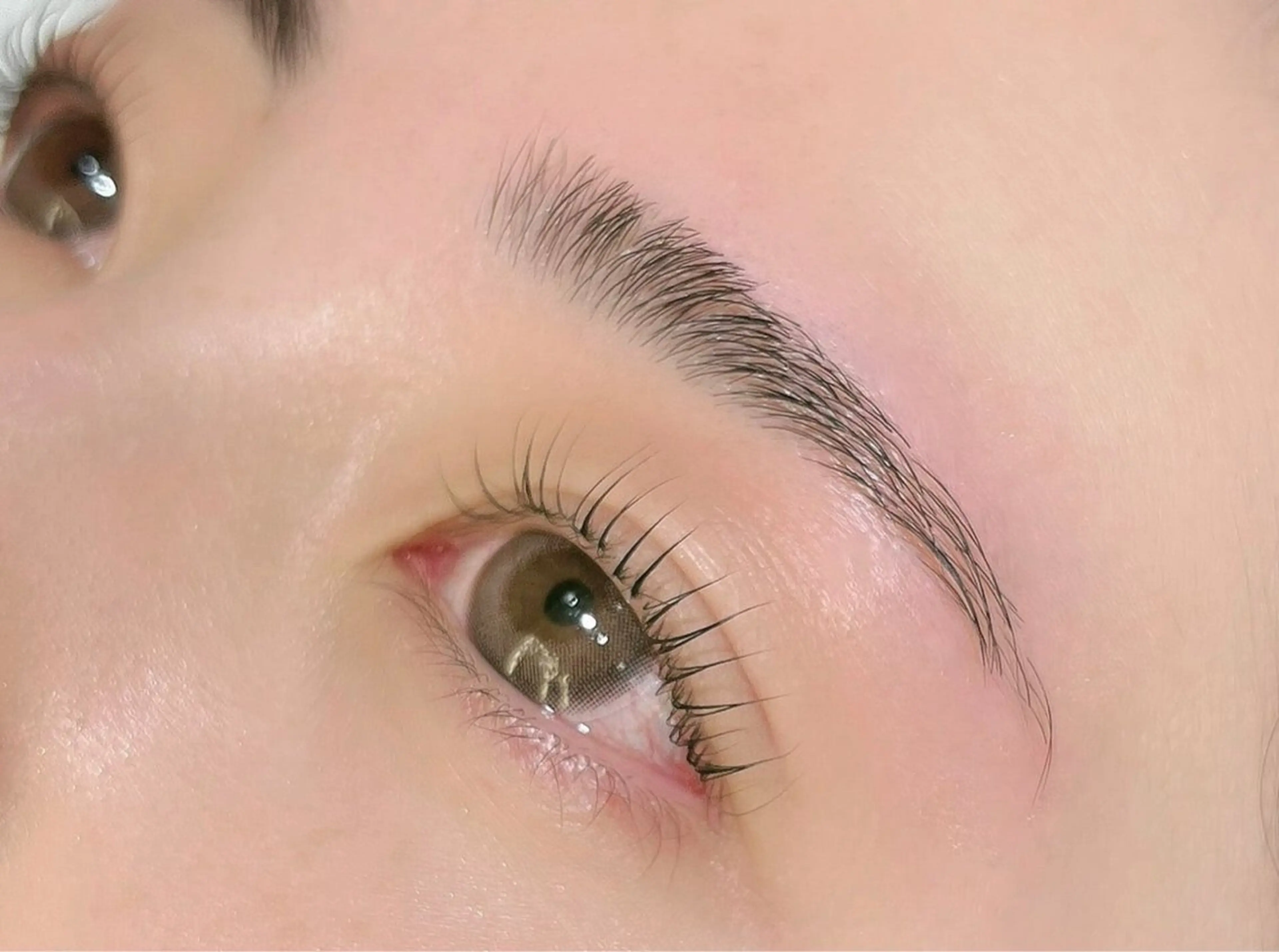 アイブロウ アイブロウ M_の眉毛・アイブロウイメージ