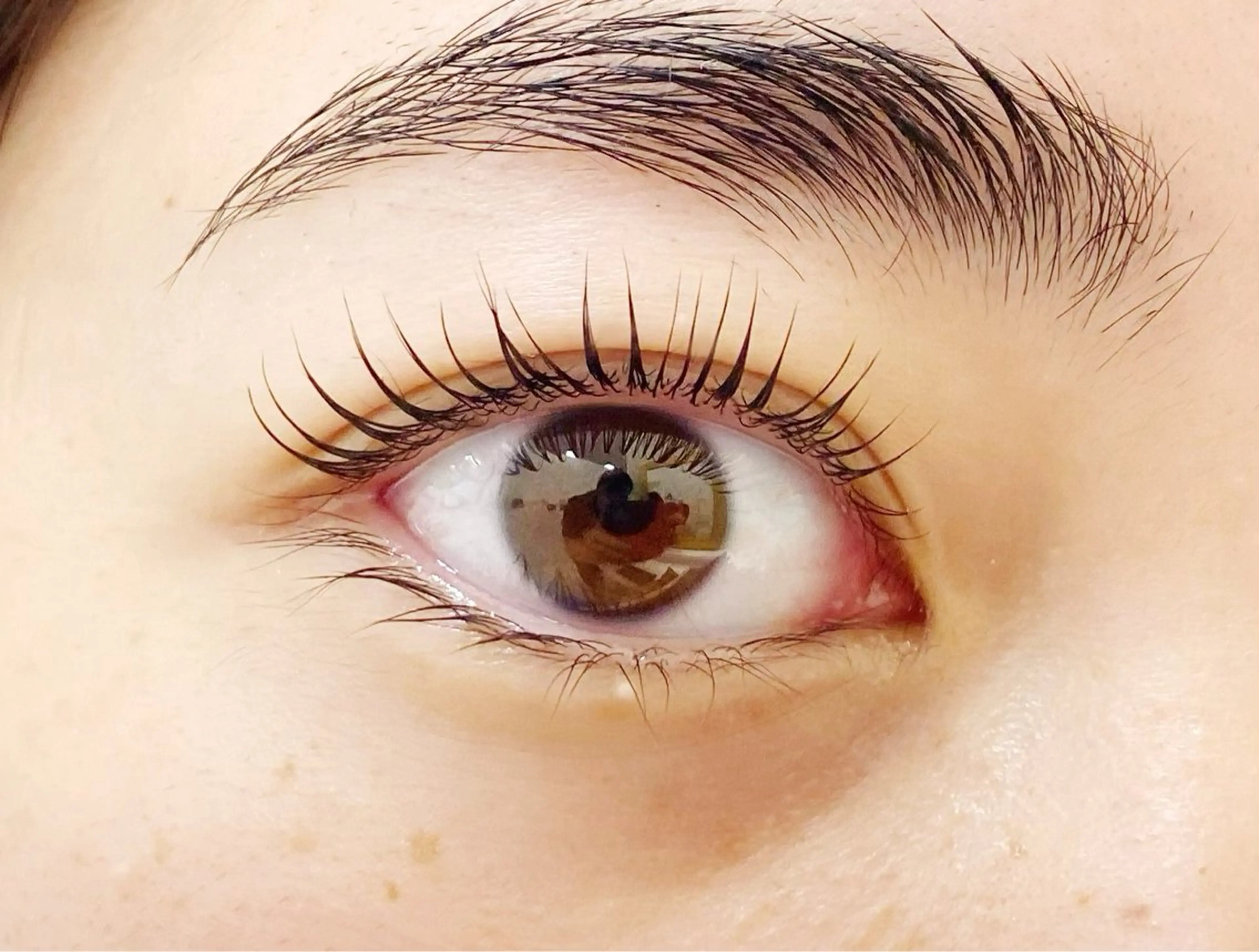 ❀︎1/22限定❣️まつ毛パーマ(ラッシュリフト)🌟の写真