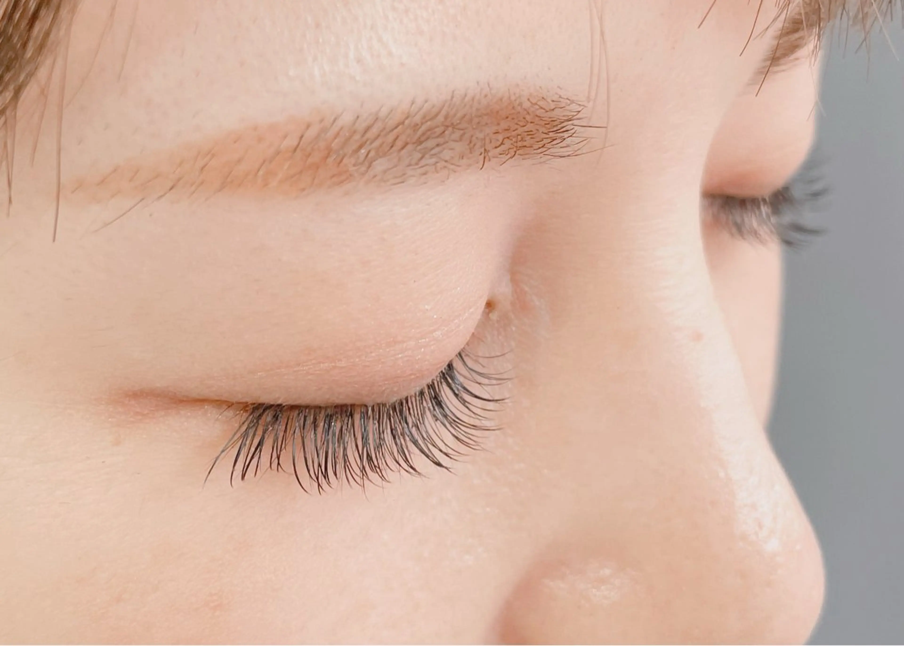 フラットラッシュ100本の写真