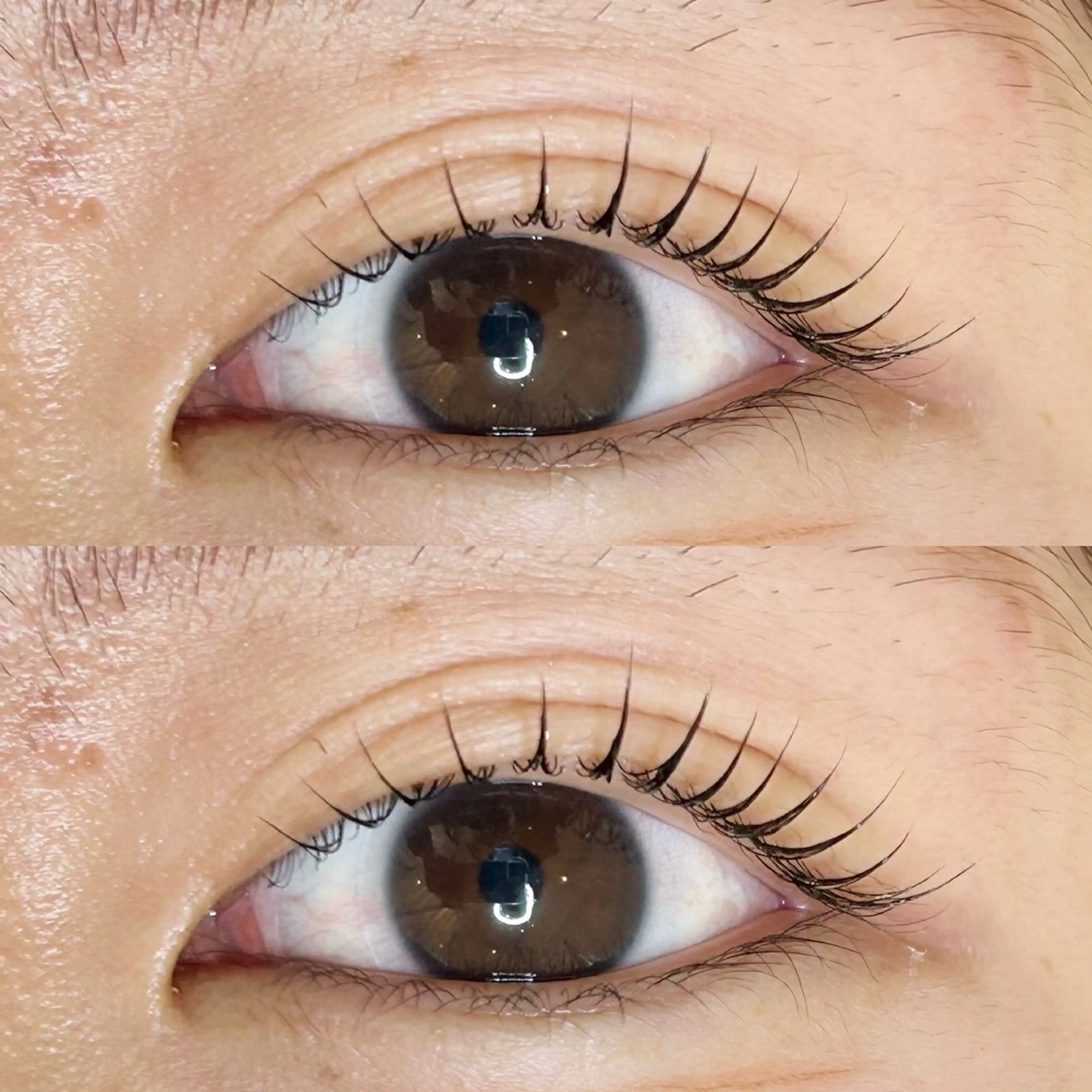 マツエク・マツパ Roy's lash ♡　AYAのマツエク・マツパデザイン