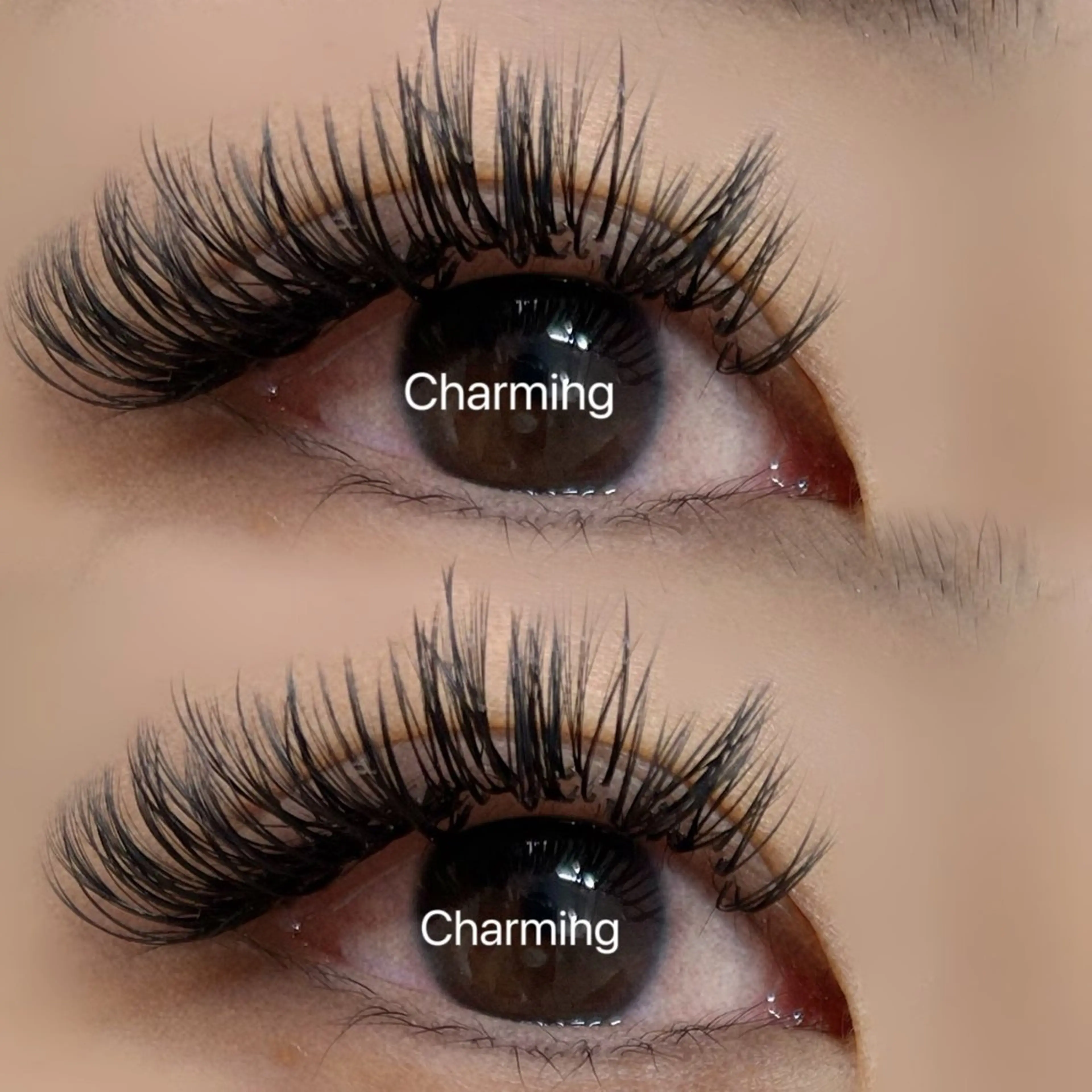 マツエク・マツパ マツエク Charming❤️ ❤️池袋のマツエク・マツパデザイン