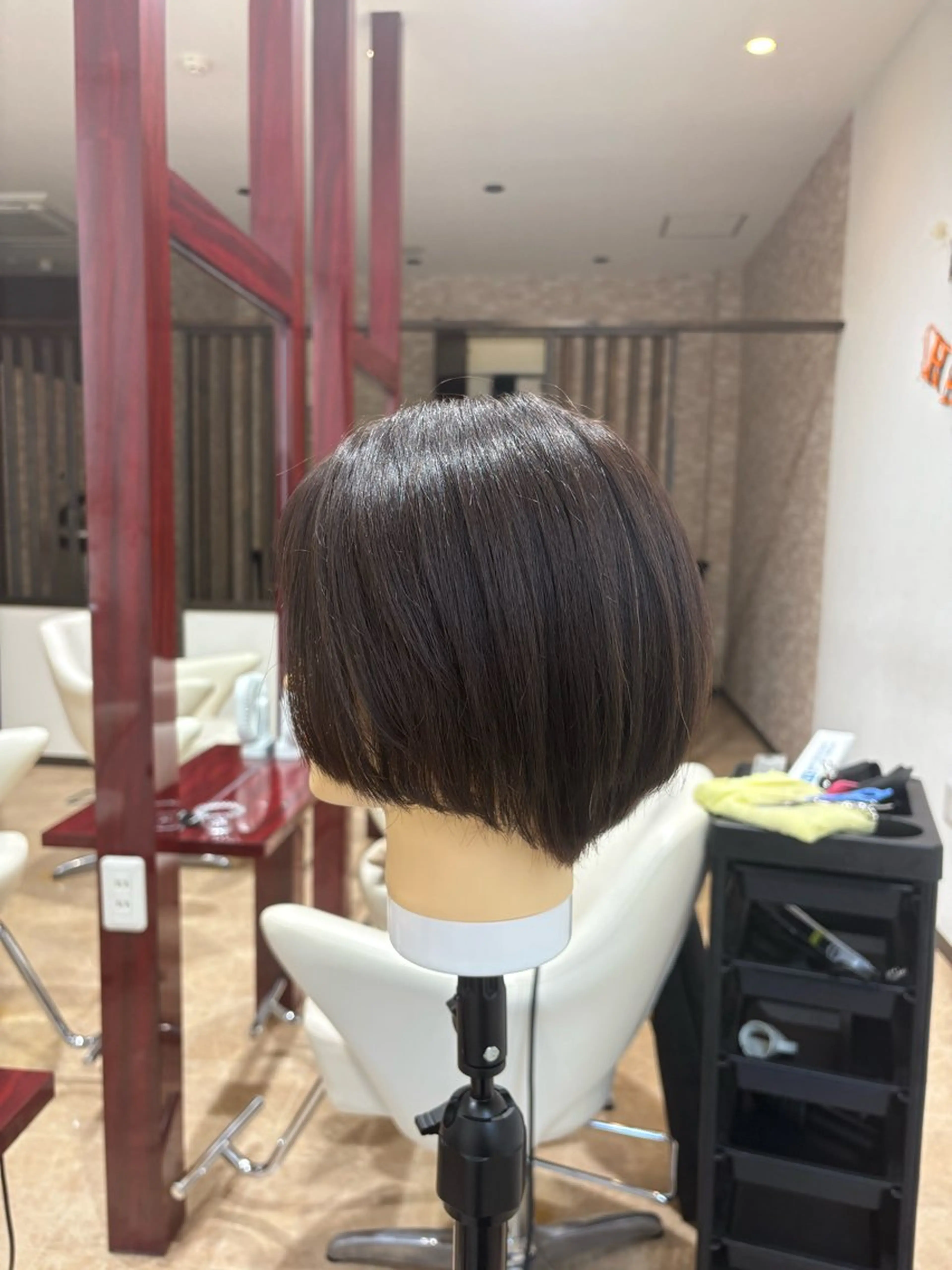 ショート ショートボブ ボブ ショートヘア 衛藤 澄玲のヘアスタイル
