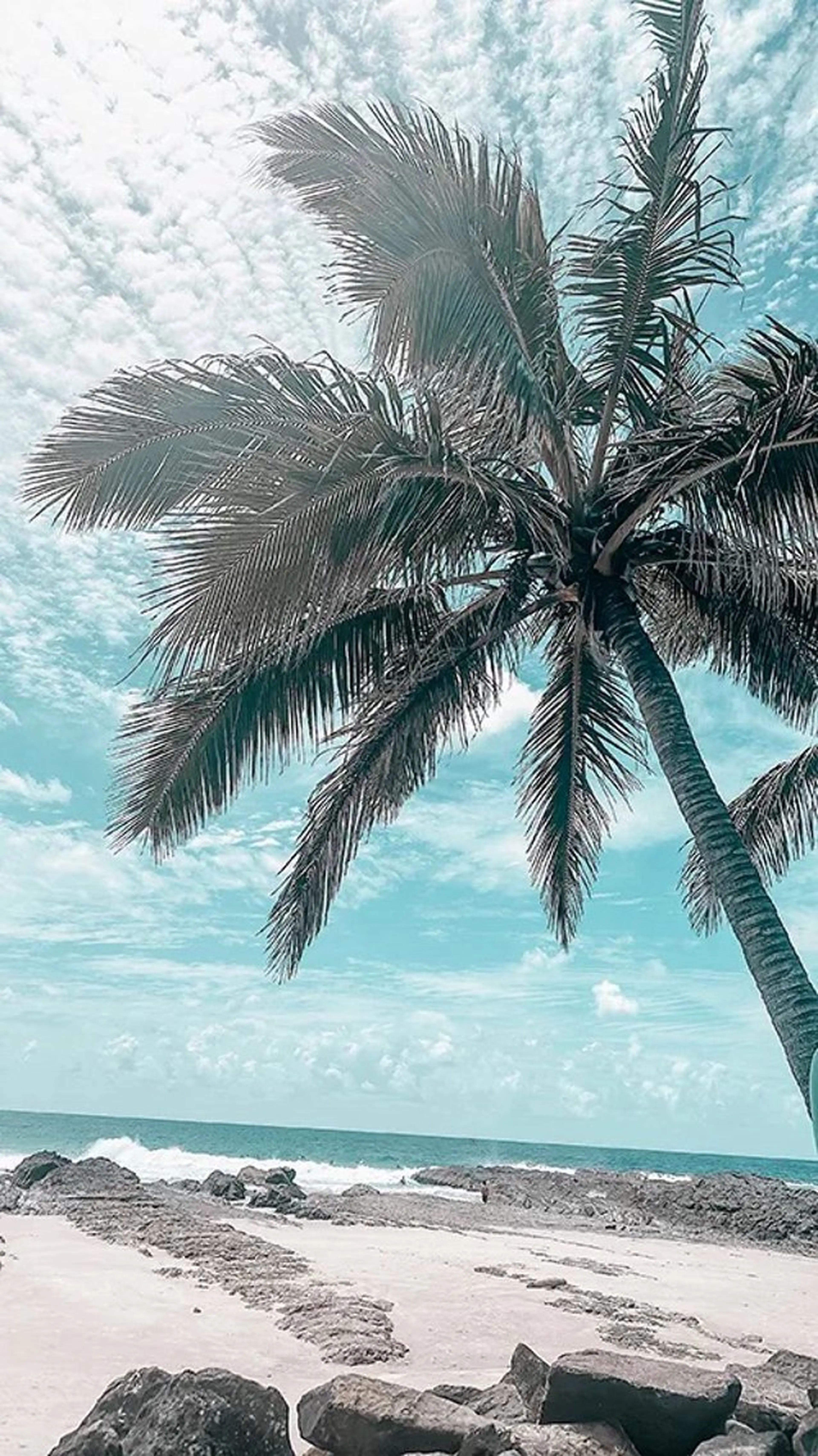 Bianca溝の口 INOMATAの眉毛・アイブロウイメージ