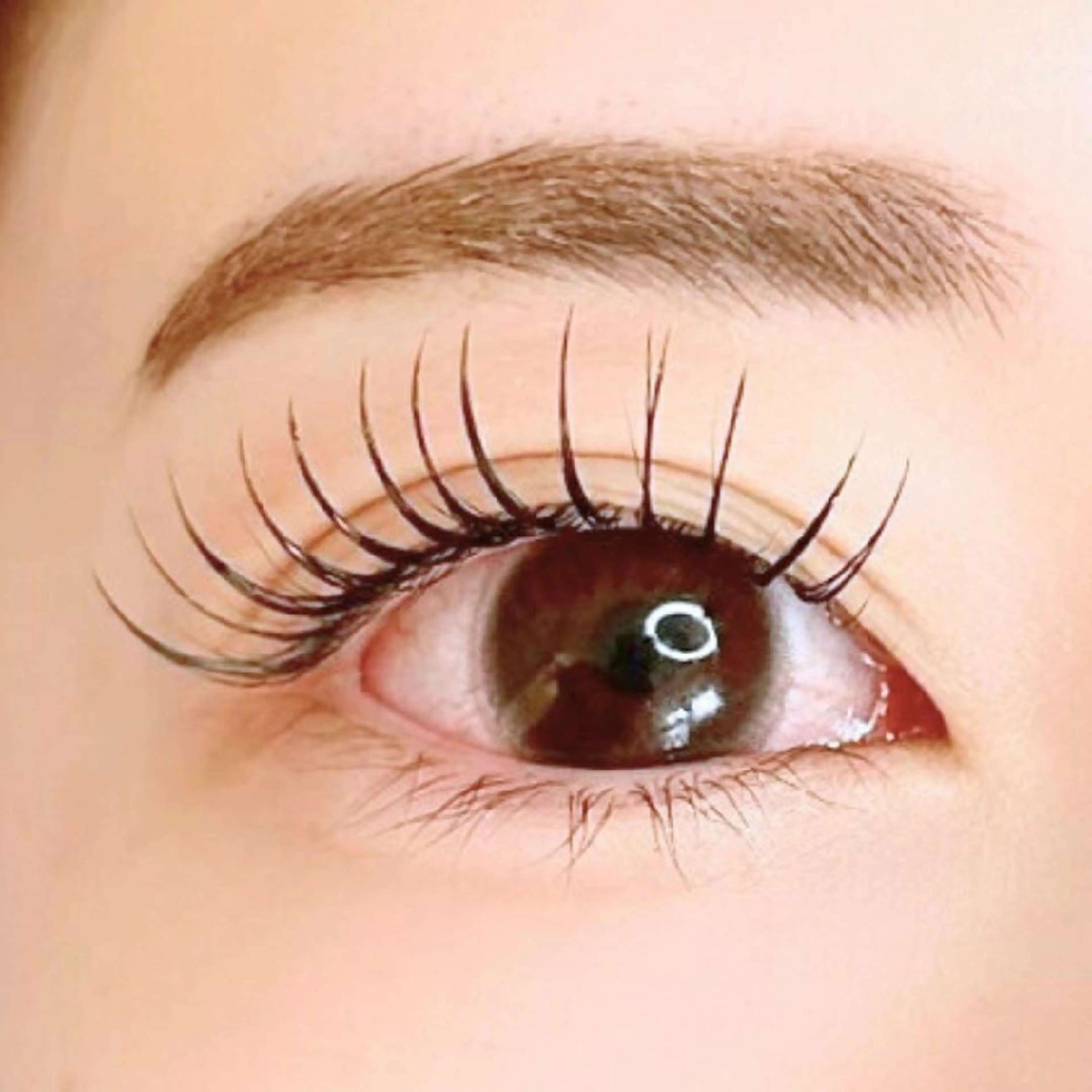 マツエク・マツパ Dealo 京橋店のマツエク・マツパデザイン