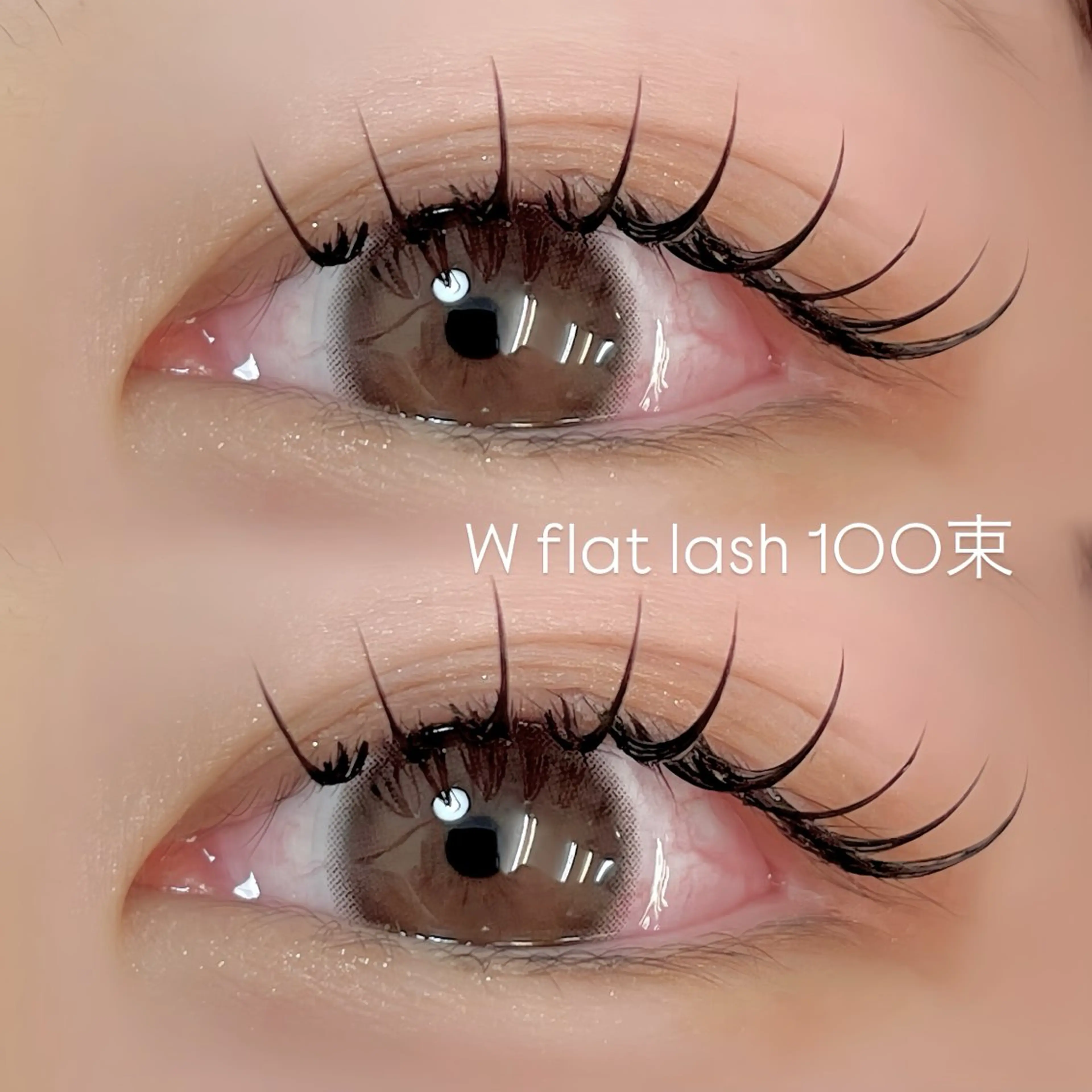 4/30限定価格【Wフラットラッシュ50束オフ無し】最強のモチ💖×韓ドル束感🇰🇷(100本)の写真