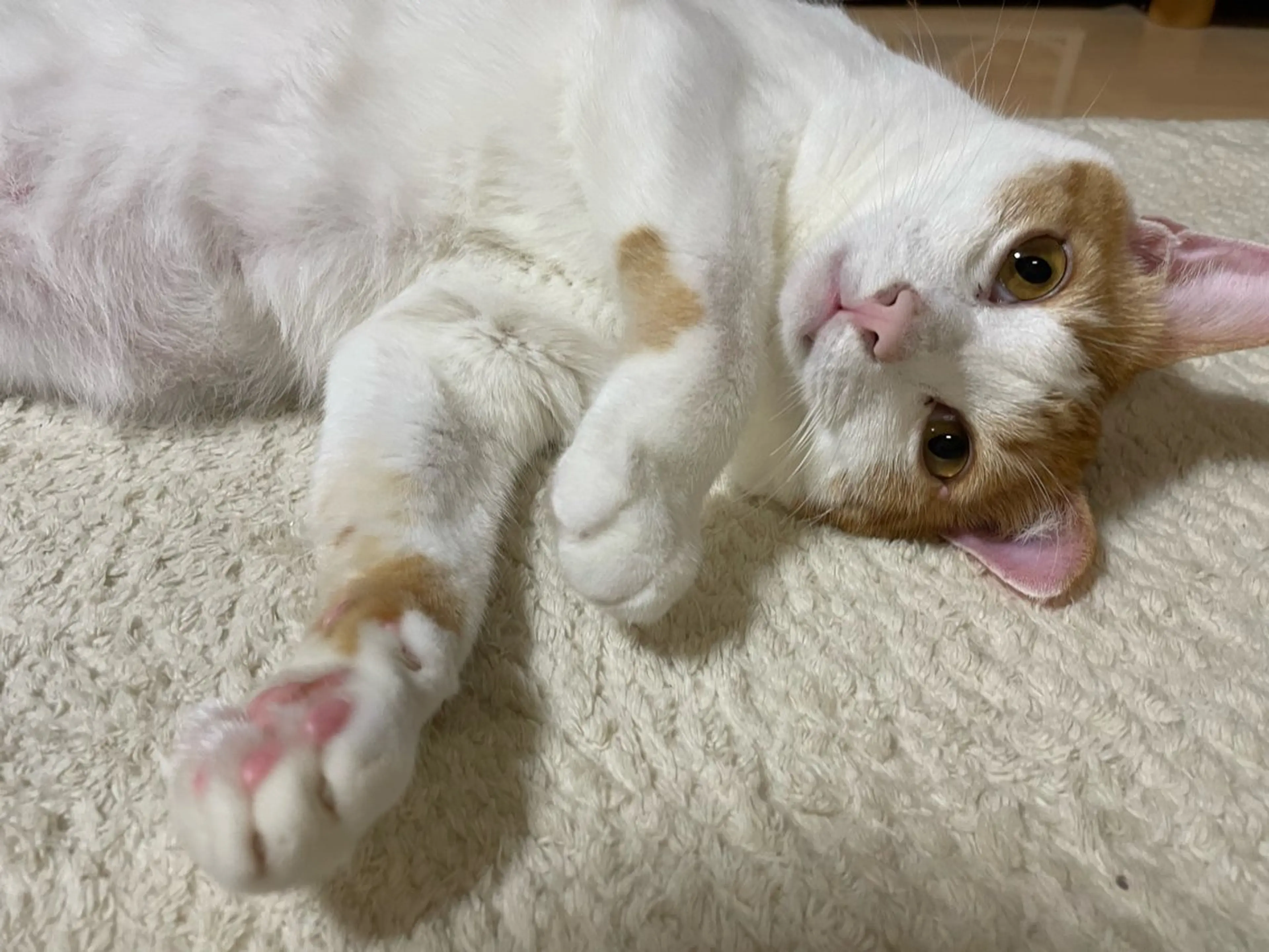 ネイル misun_ nailのネイルデザイン