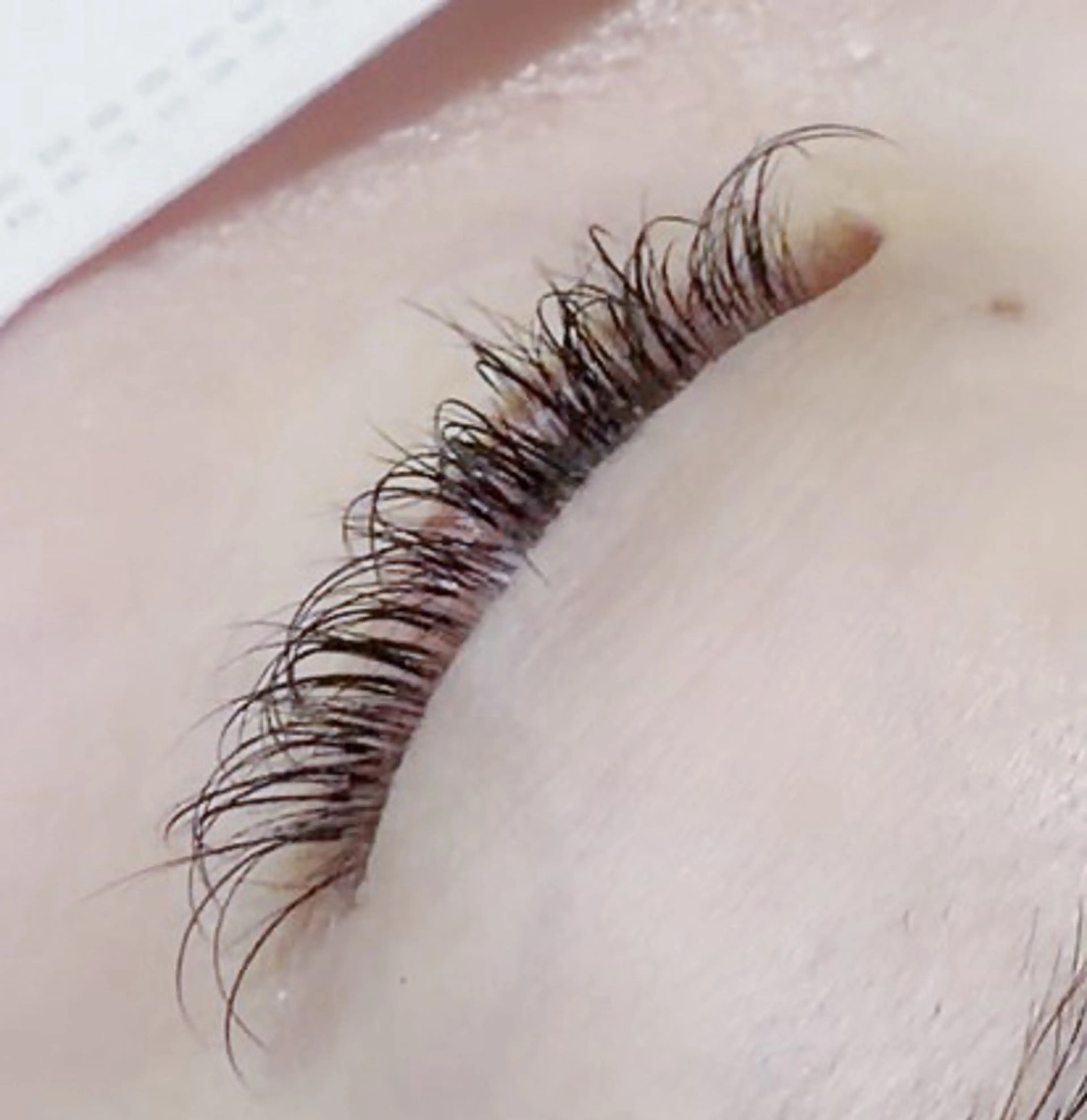 マツエク・マツパ フラットラッシュ EYELA 𝑴𝑨𝑯𝑶🍒のマツエク・マツパデザイン