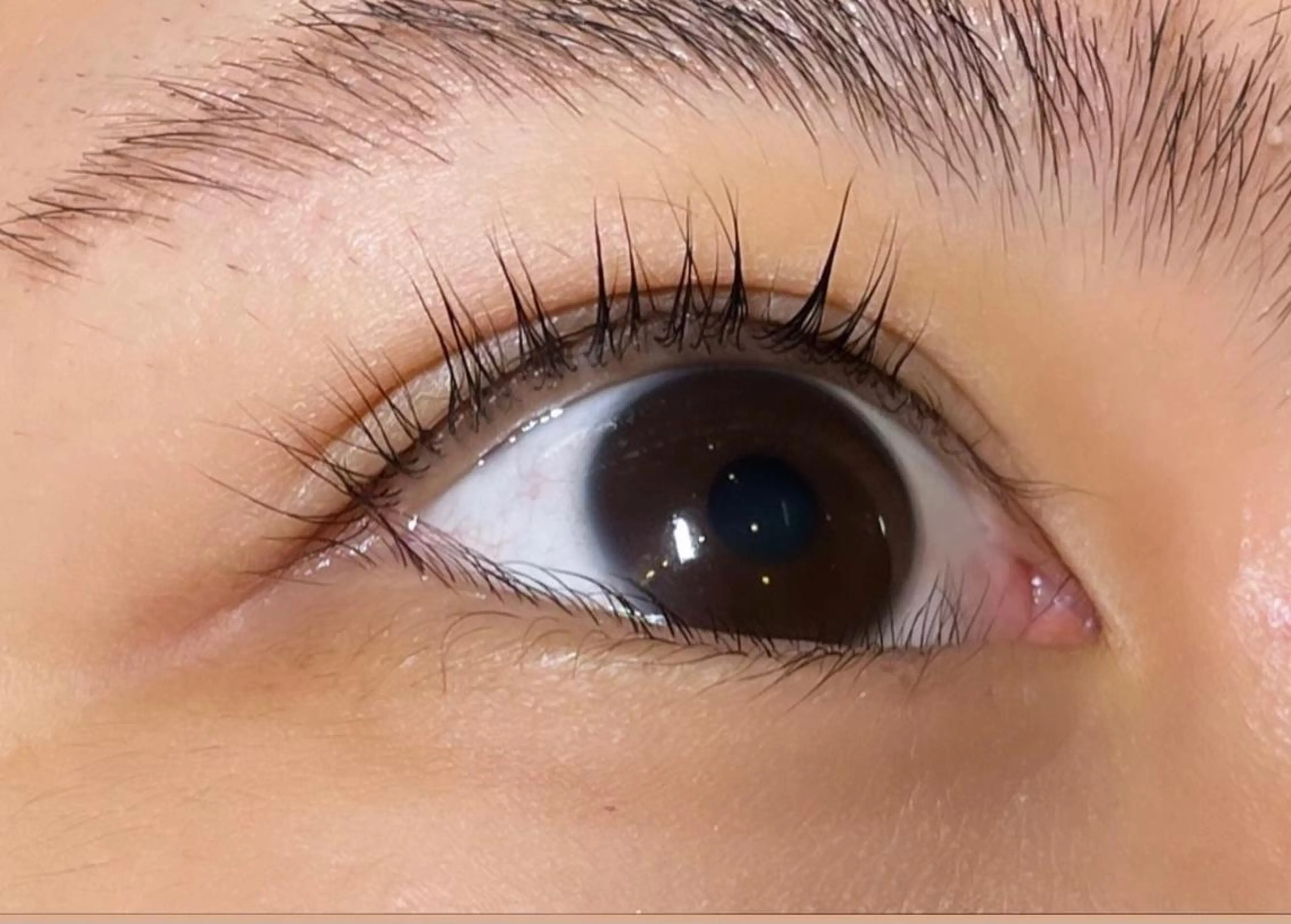 マツエク・マツパ パリジェンヌラッシュリフト Fairytail excellentのマツエク・マツパデザイン