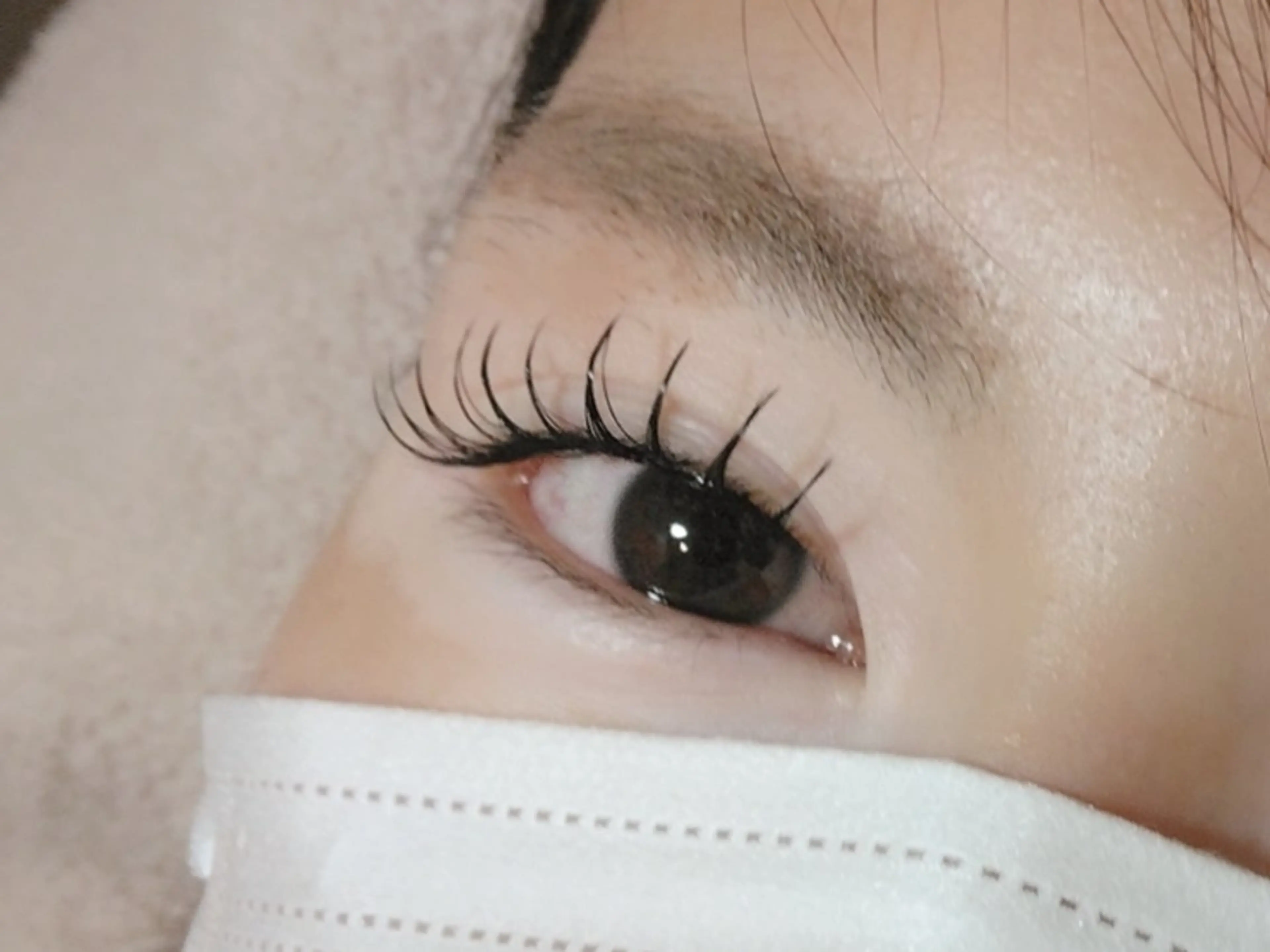 マツエク・マツパ Luce da spashの眉毛・アイブロウイメージ