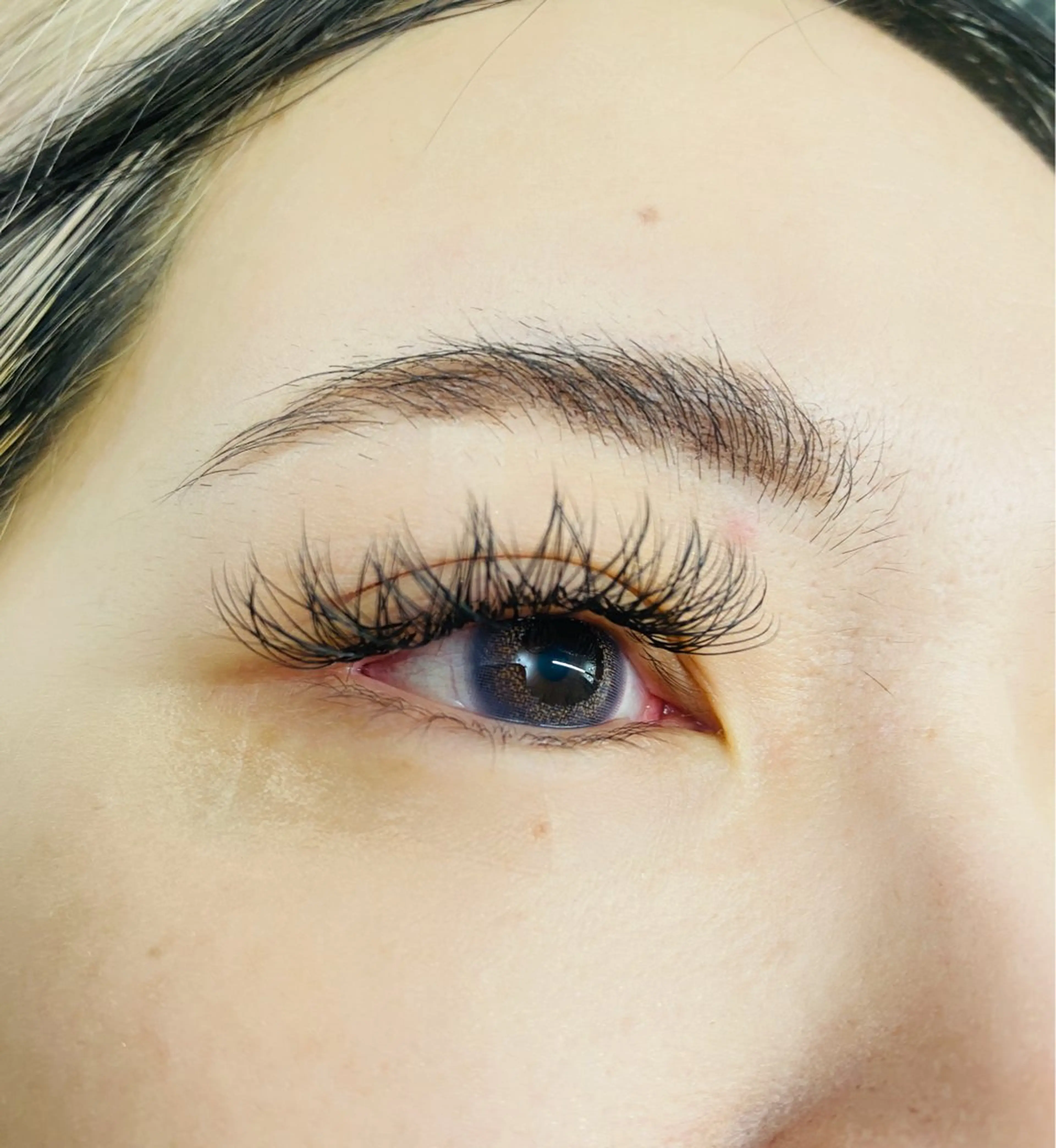 マツエク・マツパ Dカール ボリュームラッシュ Lily kUMIのマツエク・マツパデザイン