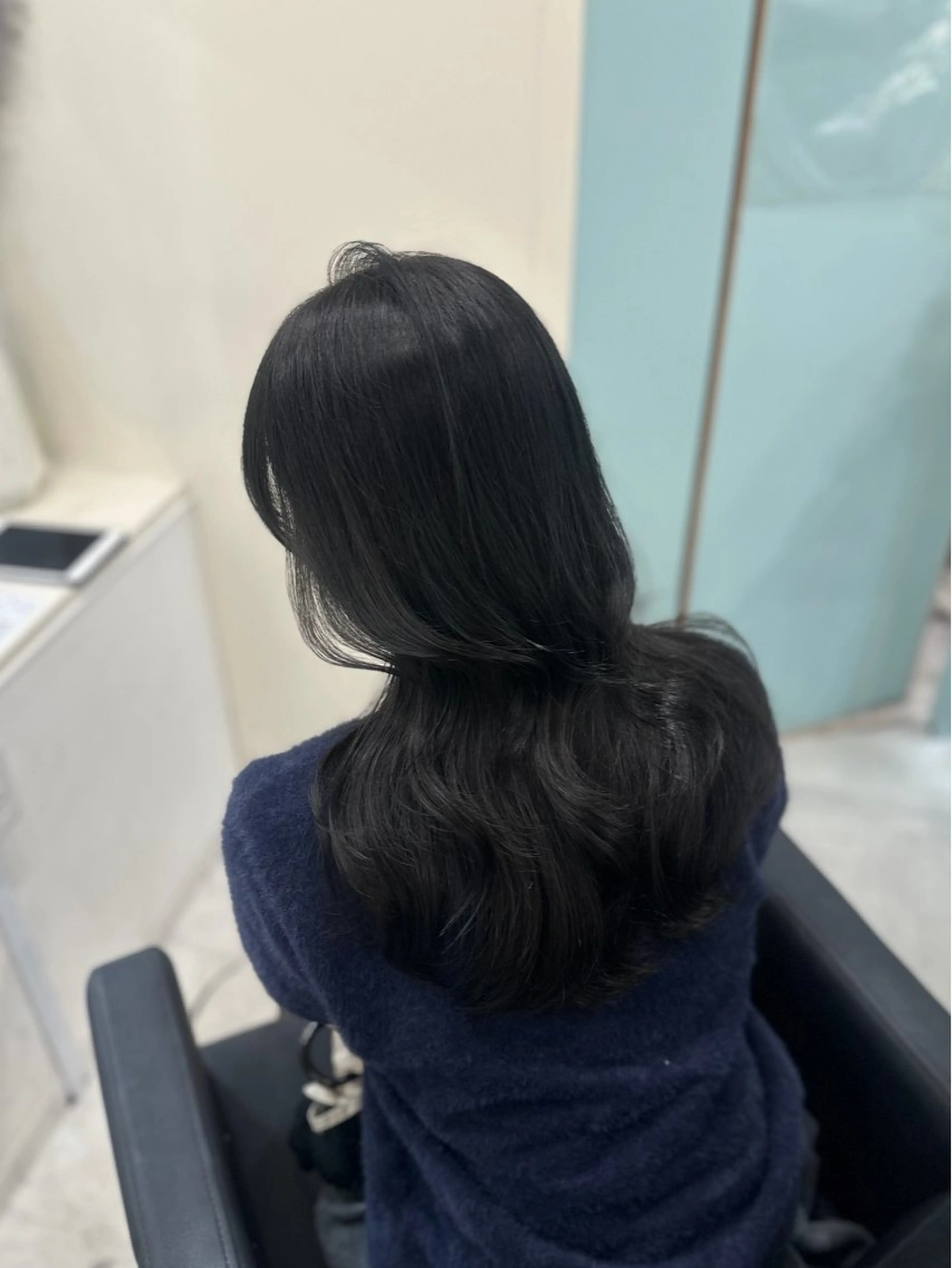 ロング カラー アディクシーカラー 黒髪 ブルーカラー ブルーブラック 透明感カラー カット ヘアカラー トリートメント 韓国ヘア/髪質改善 /natsuki🧸のヘアスタイル