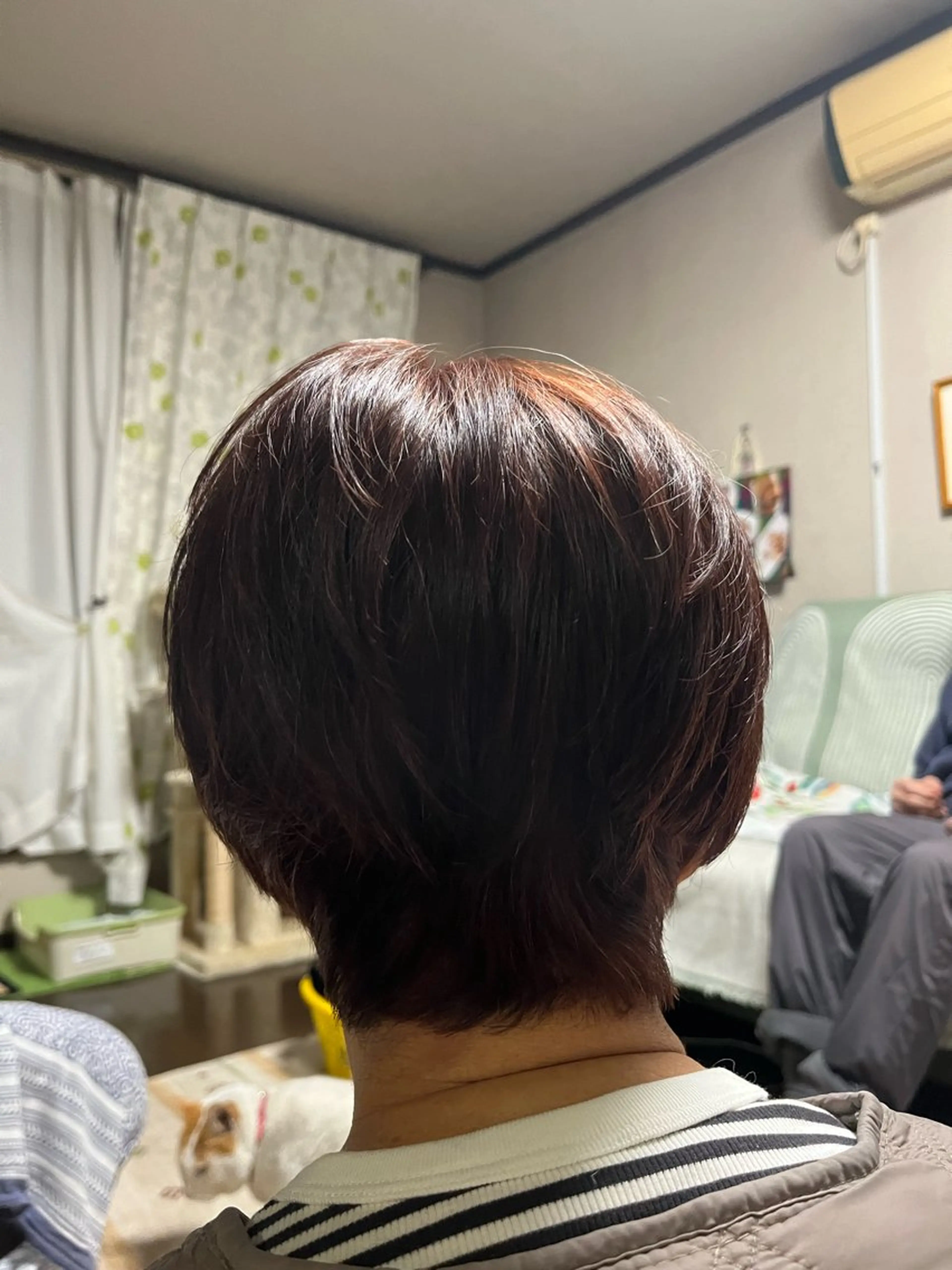 ショート 小鴨 美佳のヘアスタイル