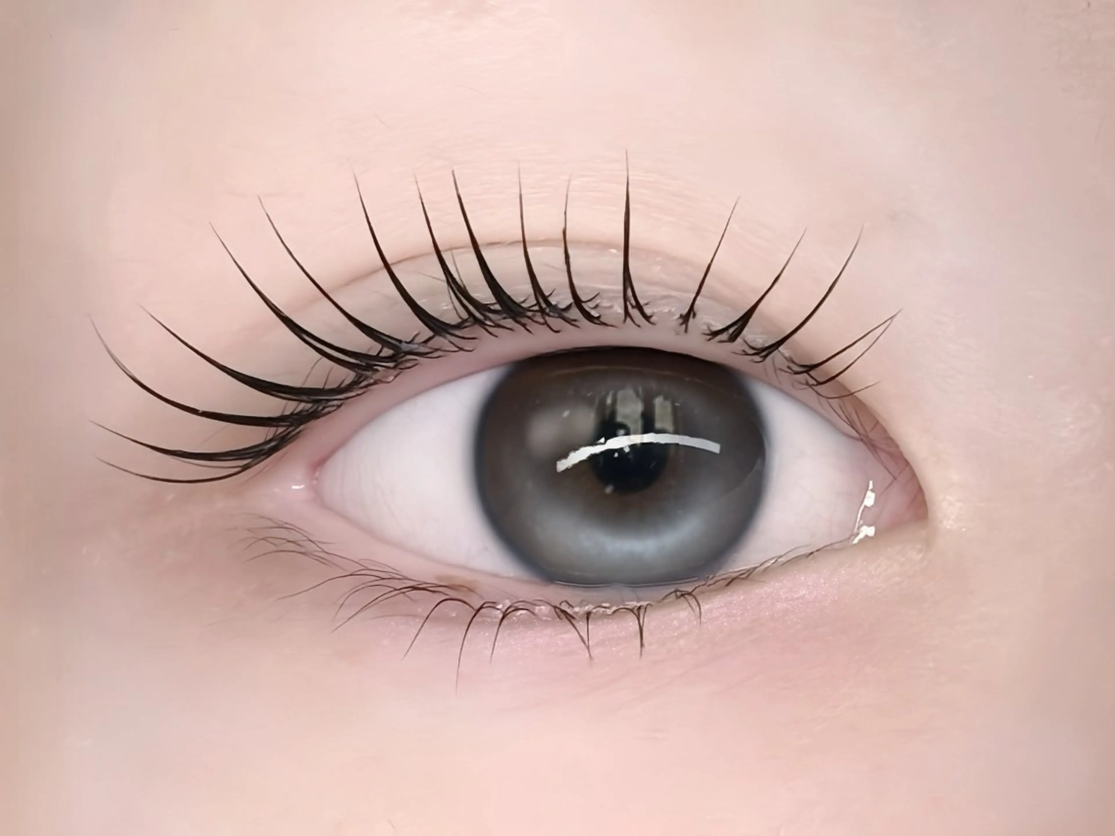 マツエク・マツパ 韓国風マツエク ナチュラル まつげパーマ 🩶LED＆ダブル フラットRAN🪽のマツエク・マツパデザイン