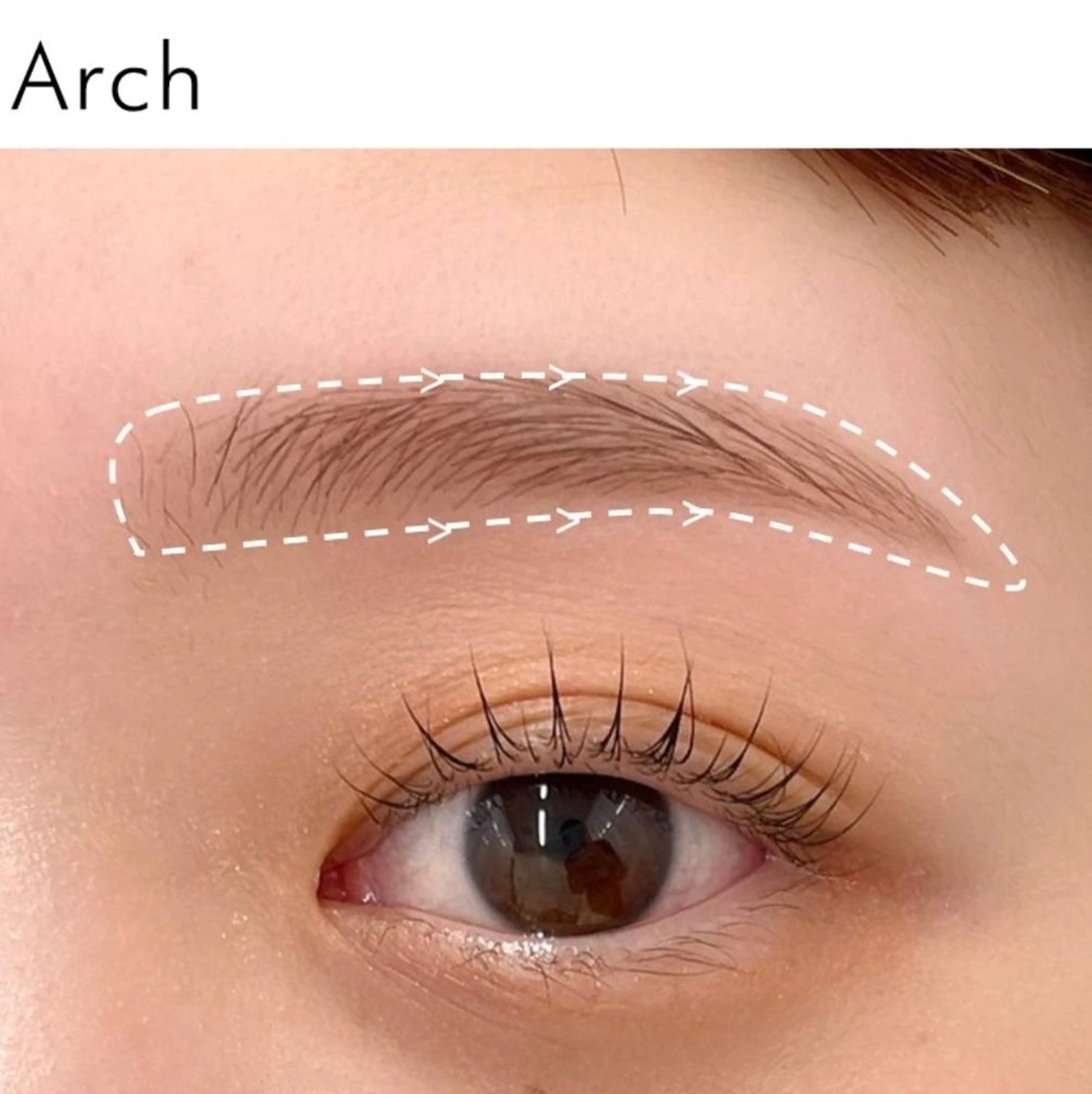 アイブロウ sasaki shinjuの眉毛・アイブロウイメージ