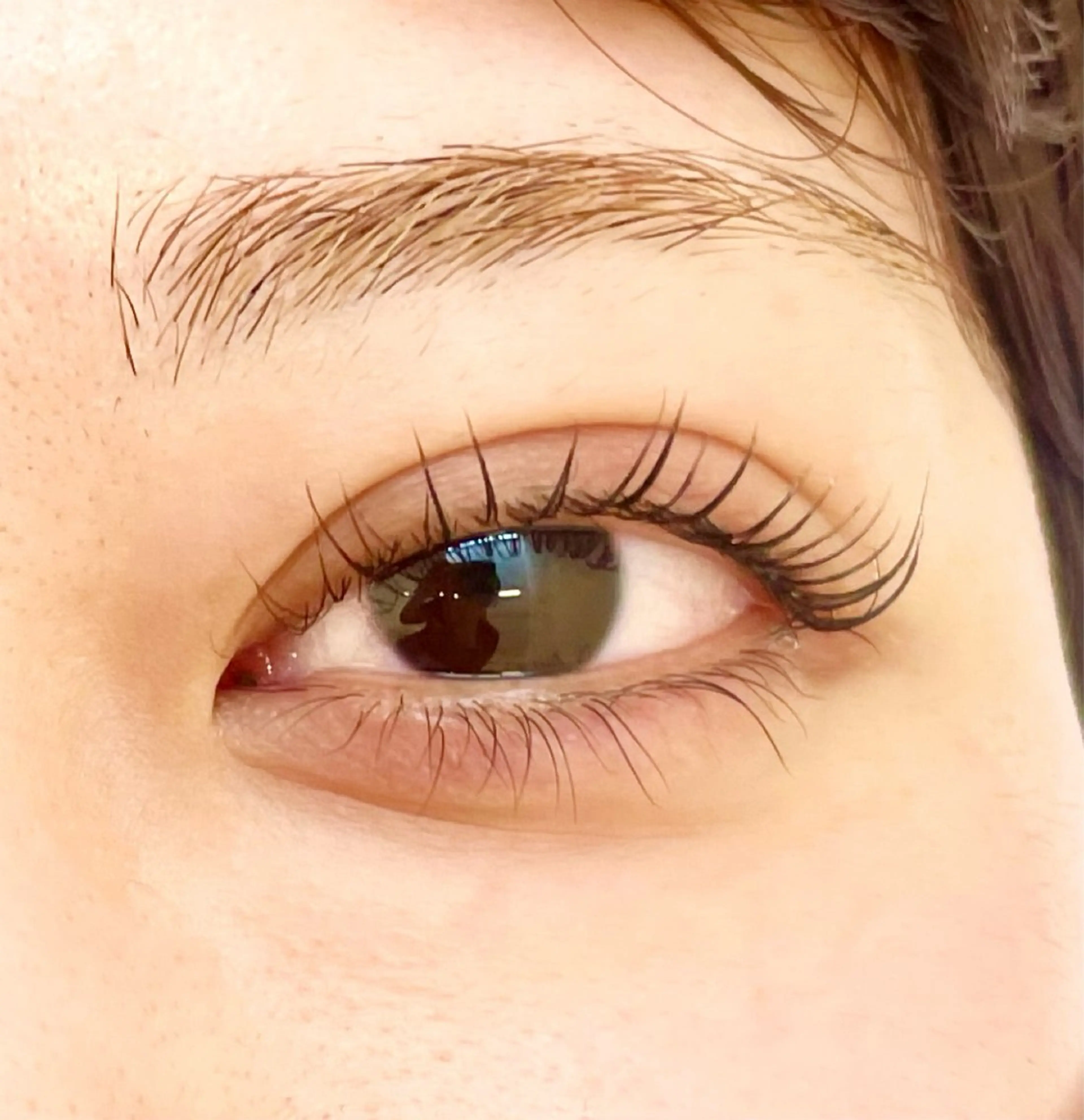 まつ毛パーマ（下）の写真