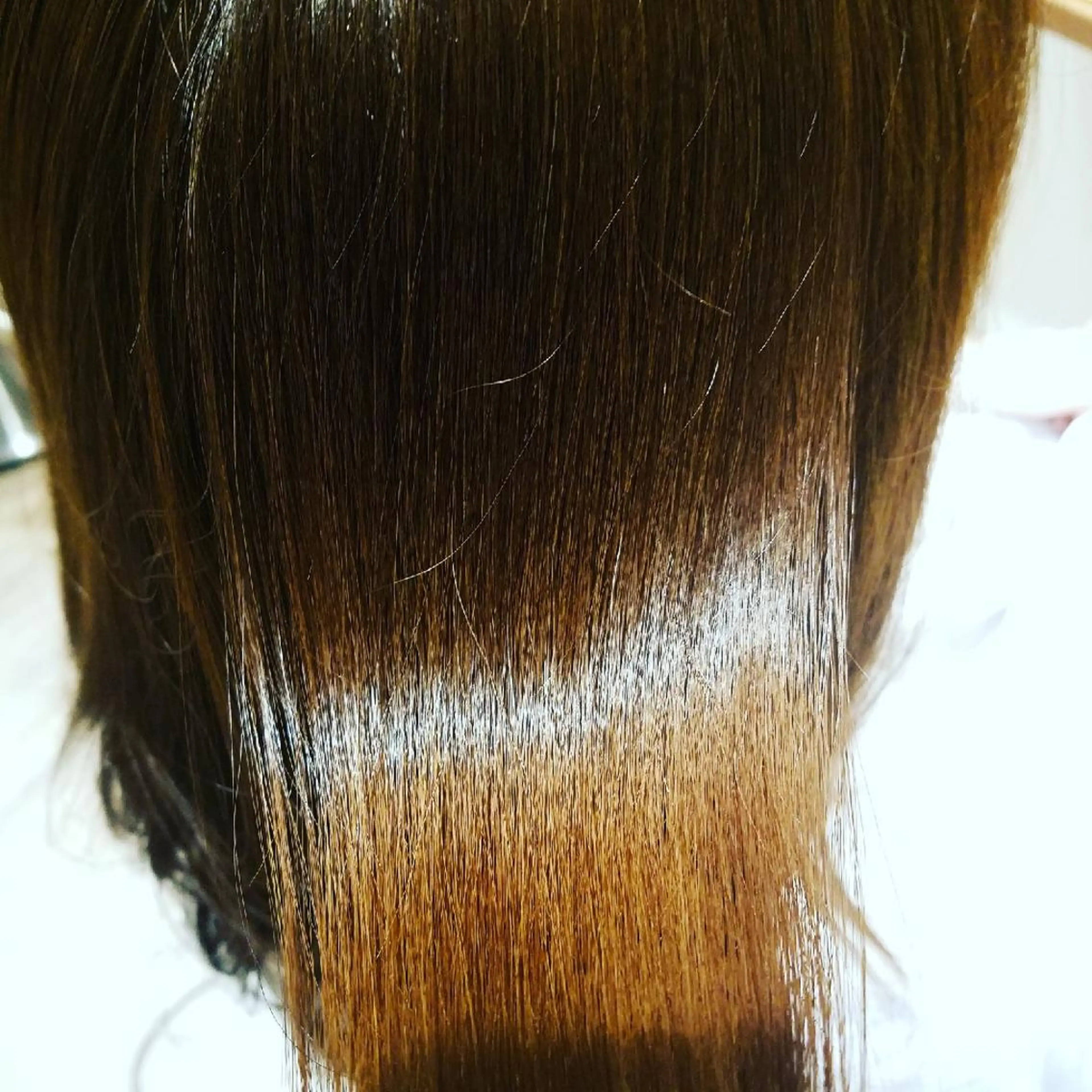 本多 博文のヘアスタイル