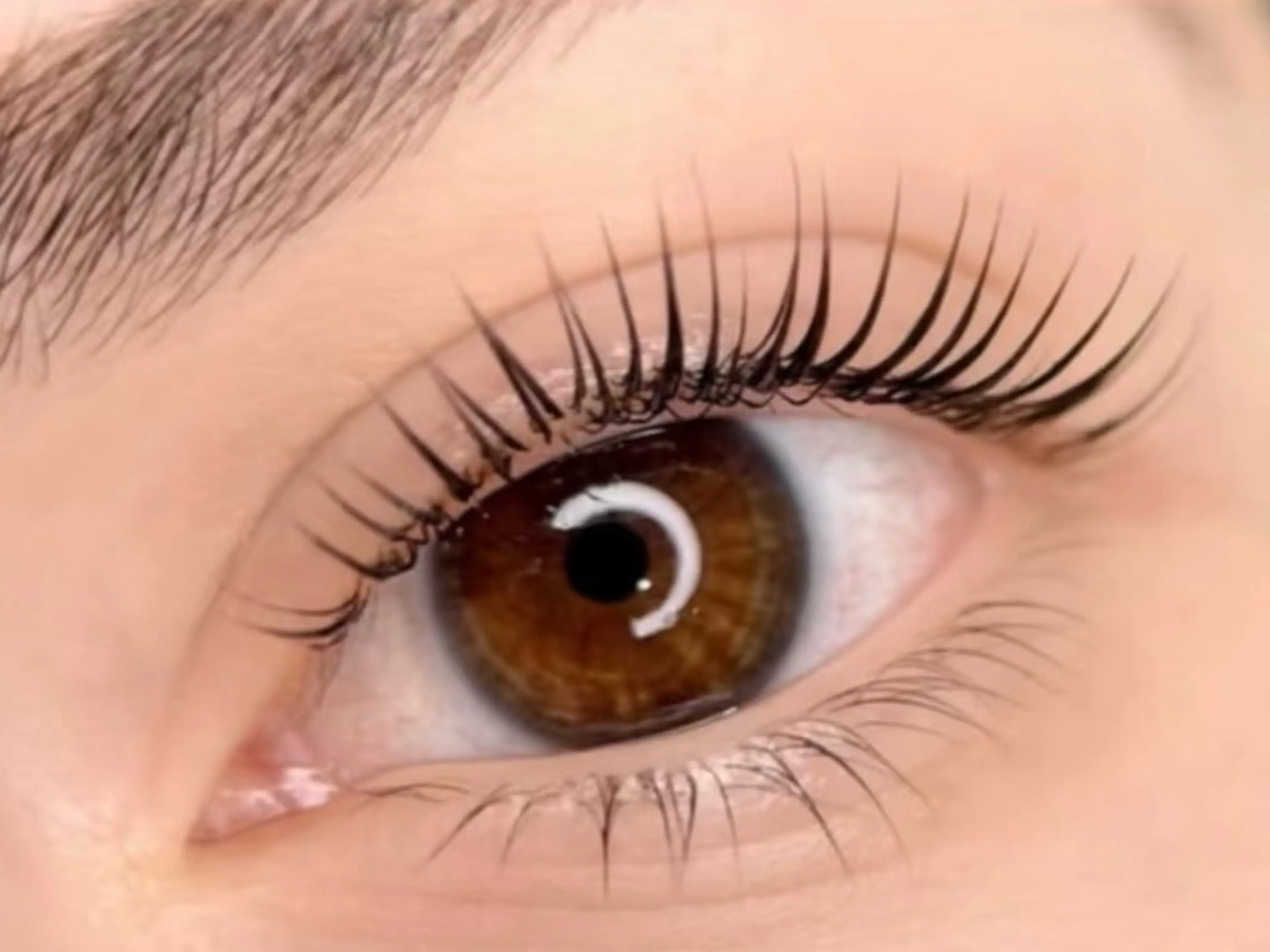 ［オープン記念］まつげパーマラッシュリフト上+美容液仕上げの写真