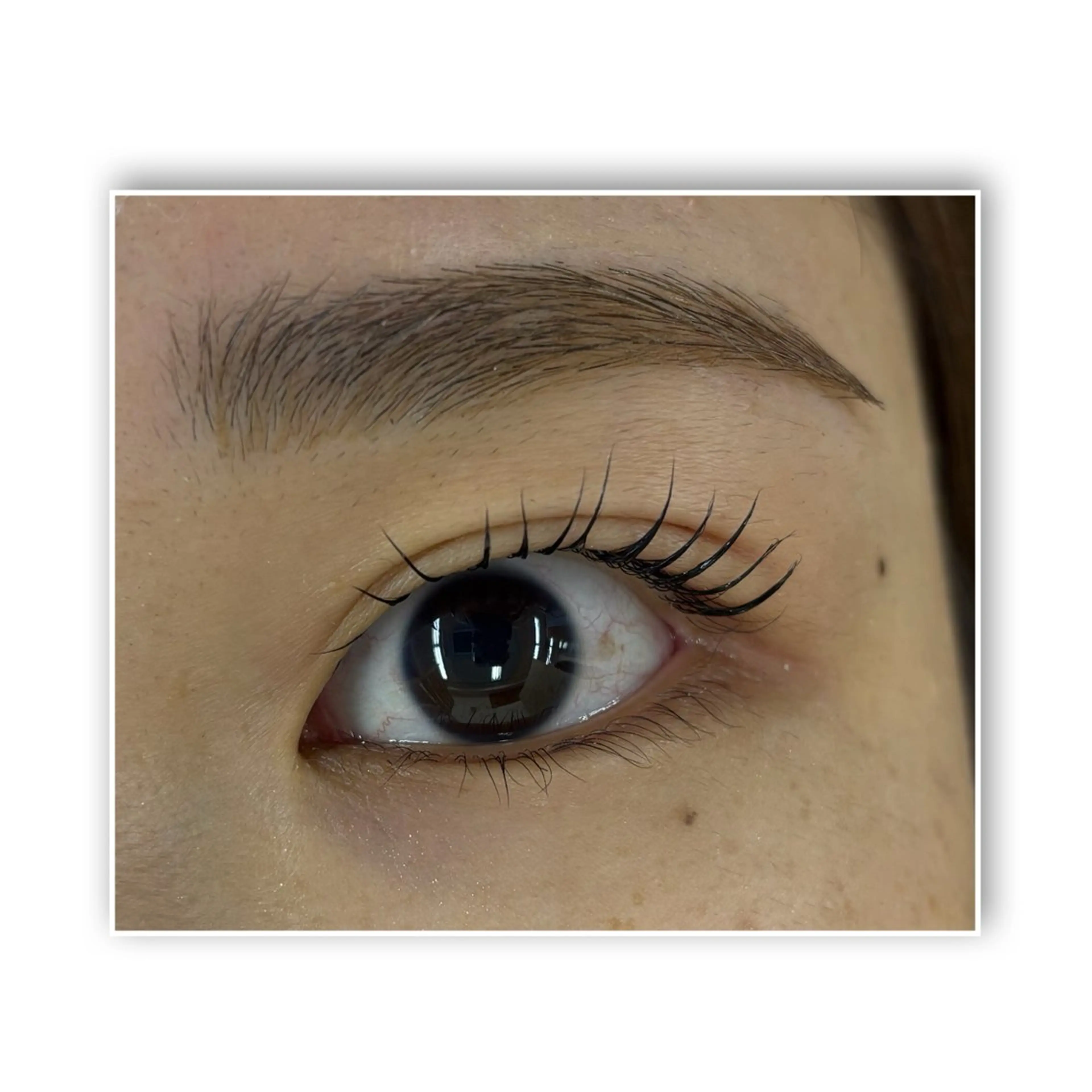 🫧まつ毛パーマ&トリートメント🫧⚠️補足説明お読みください⚠️の写真