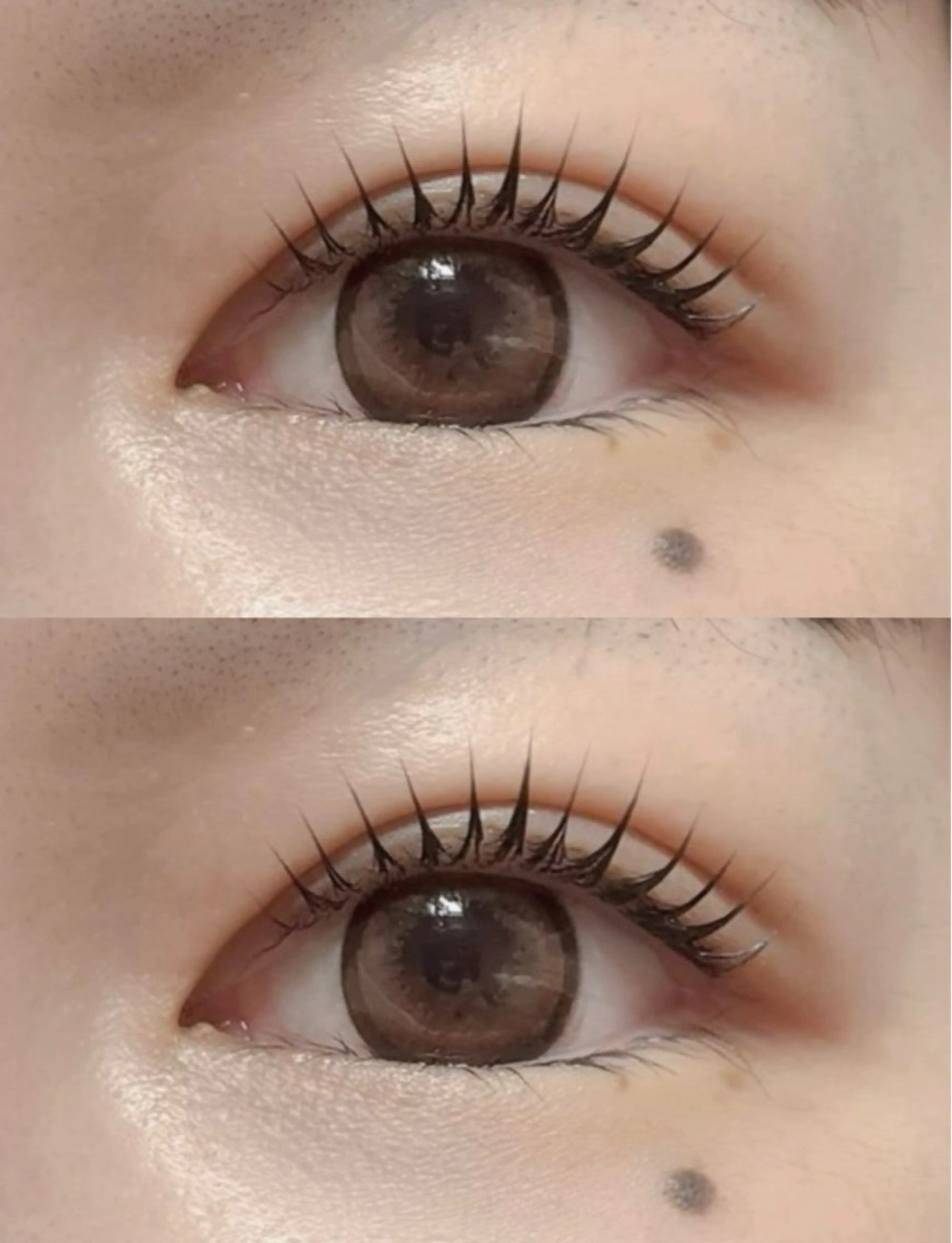 💕パリジェンヌラッシュリフト+アイシャンプー+キープ美容液の写真