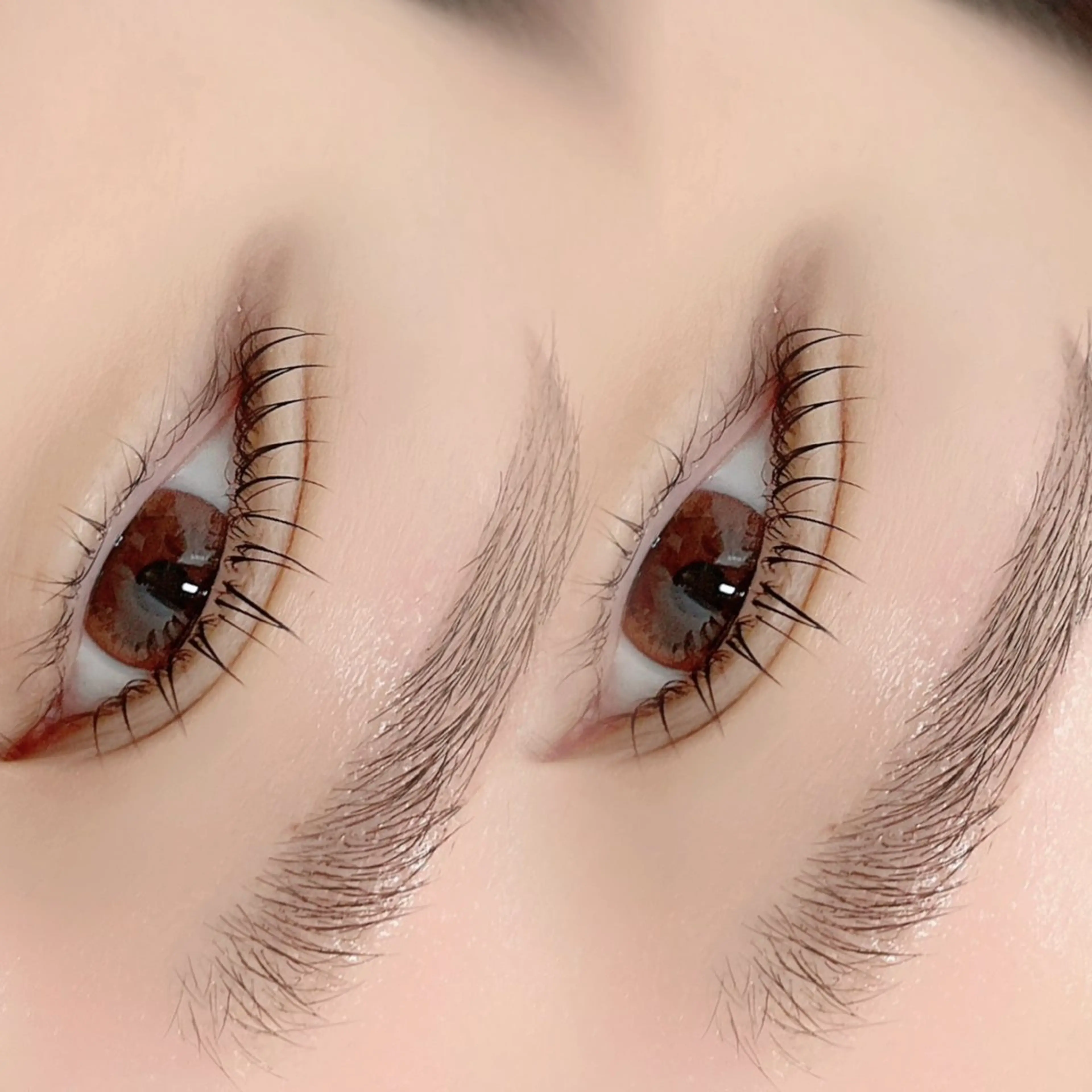 【目元美人◎】ラッシュリフト+アイブロウWAXの写真