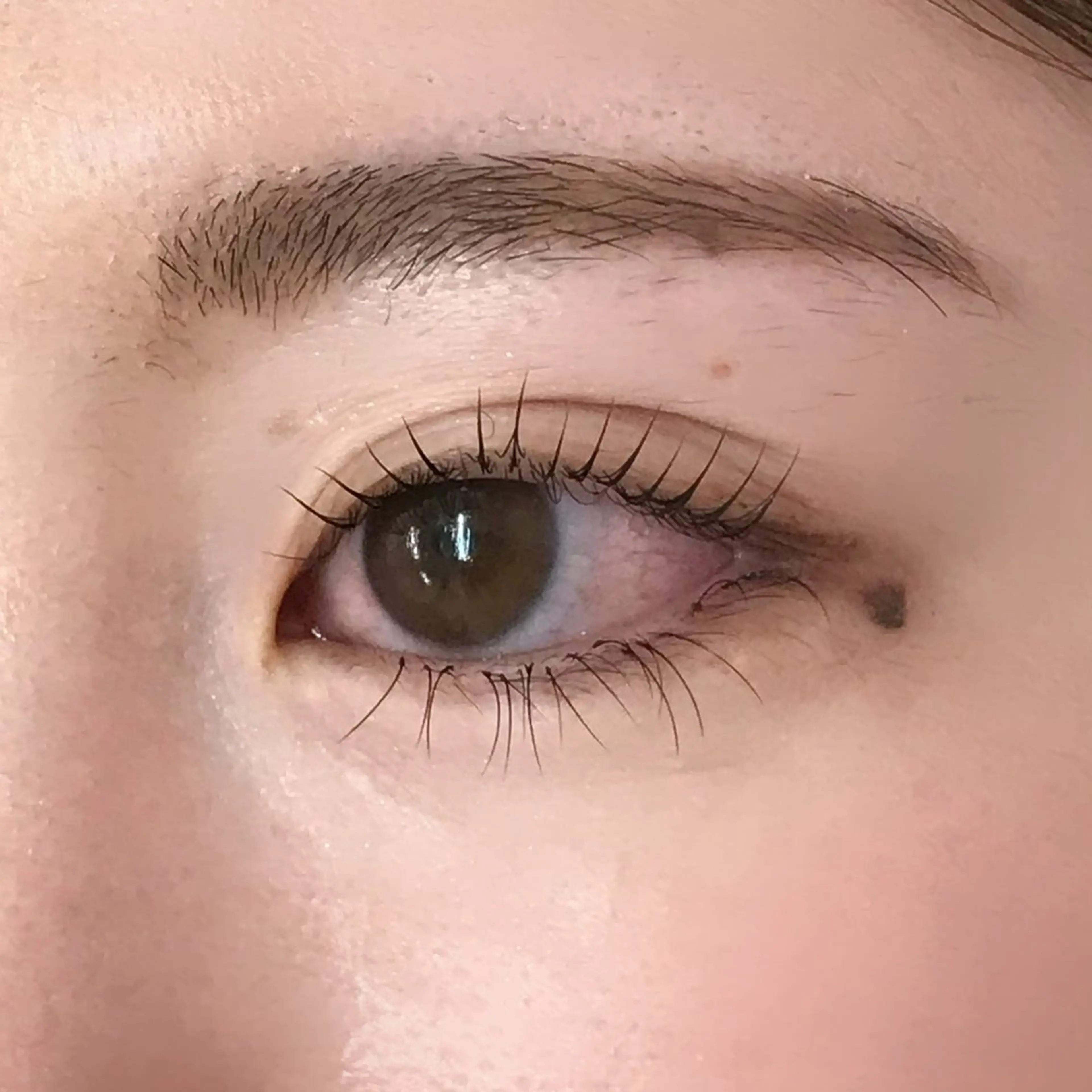 マツエク・マツパ uland yuzukiの眉毛・アイブロウイメージ