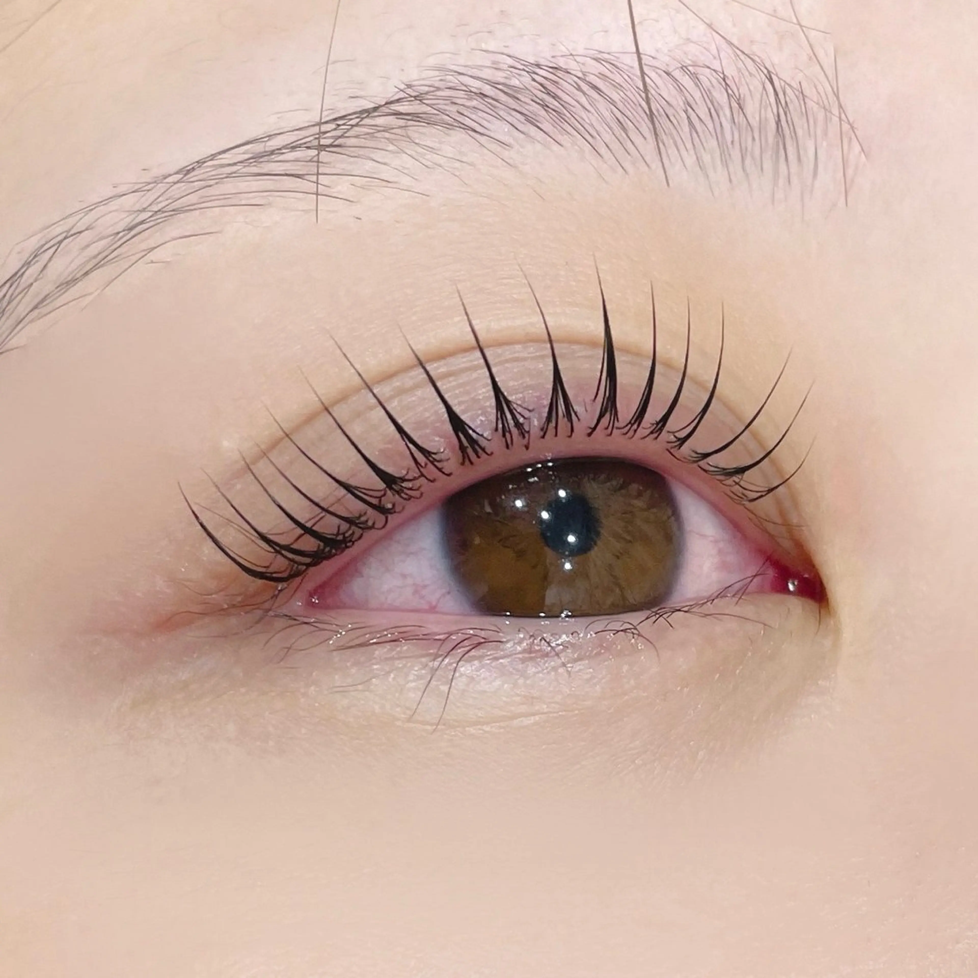 【練習モデル様募集💫】パリジェンヌラッシュリフト🦋の写真