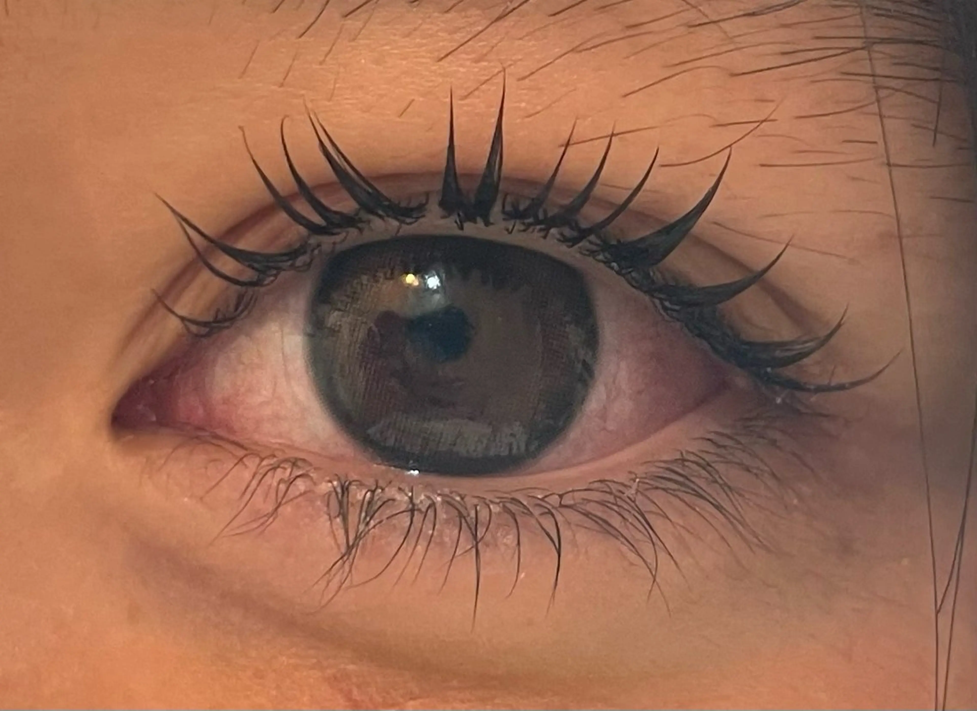 マツエク・マツパ jr.アイリスト Ayuのマツエク・マツパデザイン