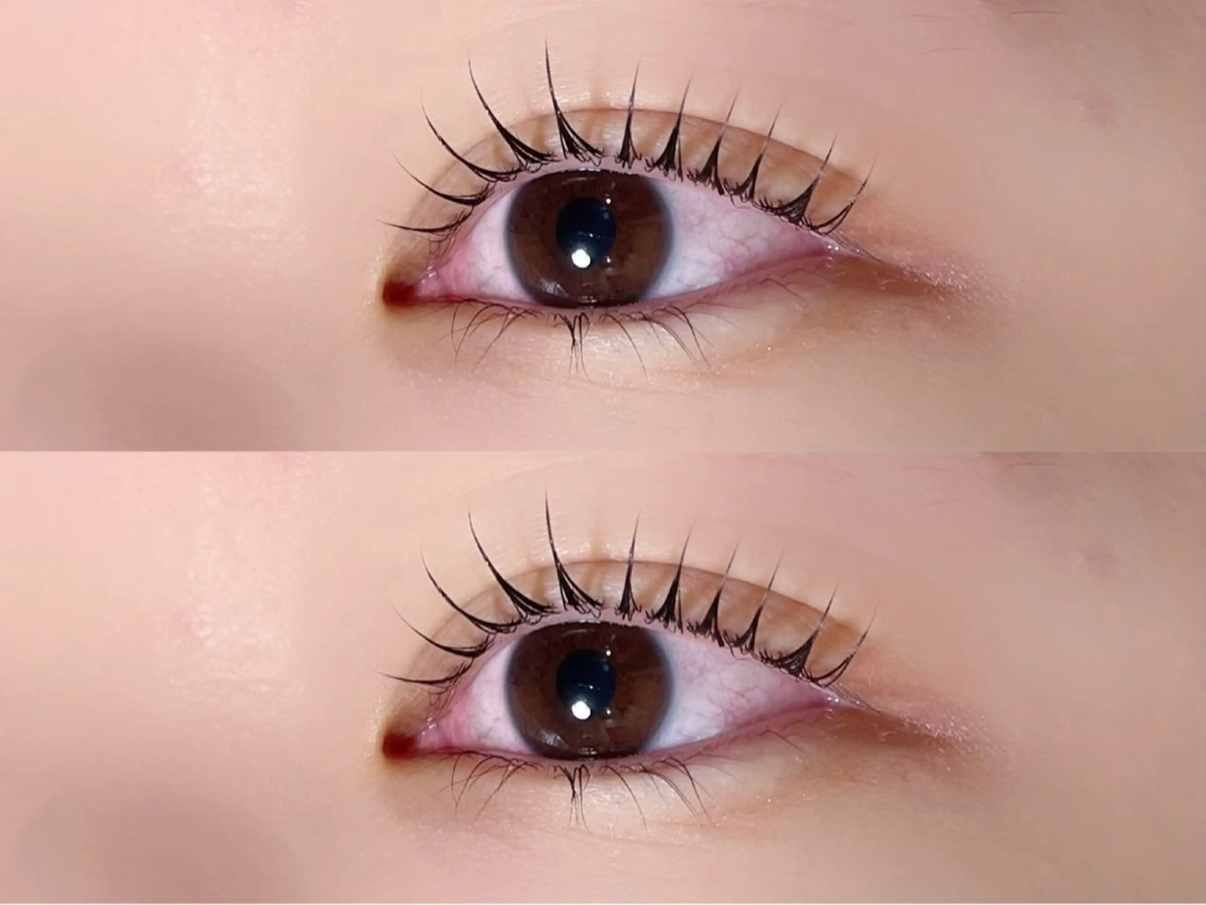 マツエク・マツパ Maazlash 5🐿️のマツエク・マツパデザイン