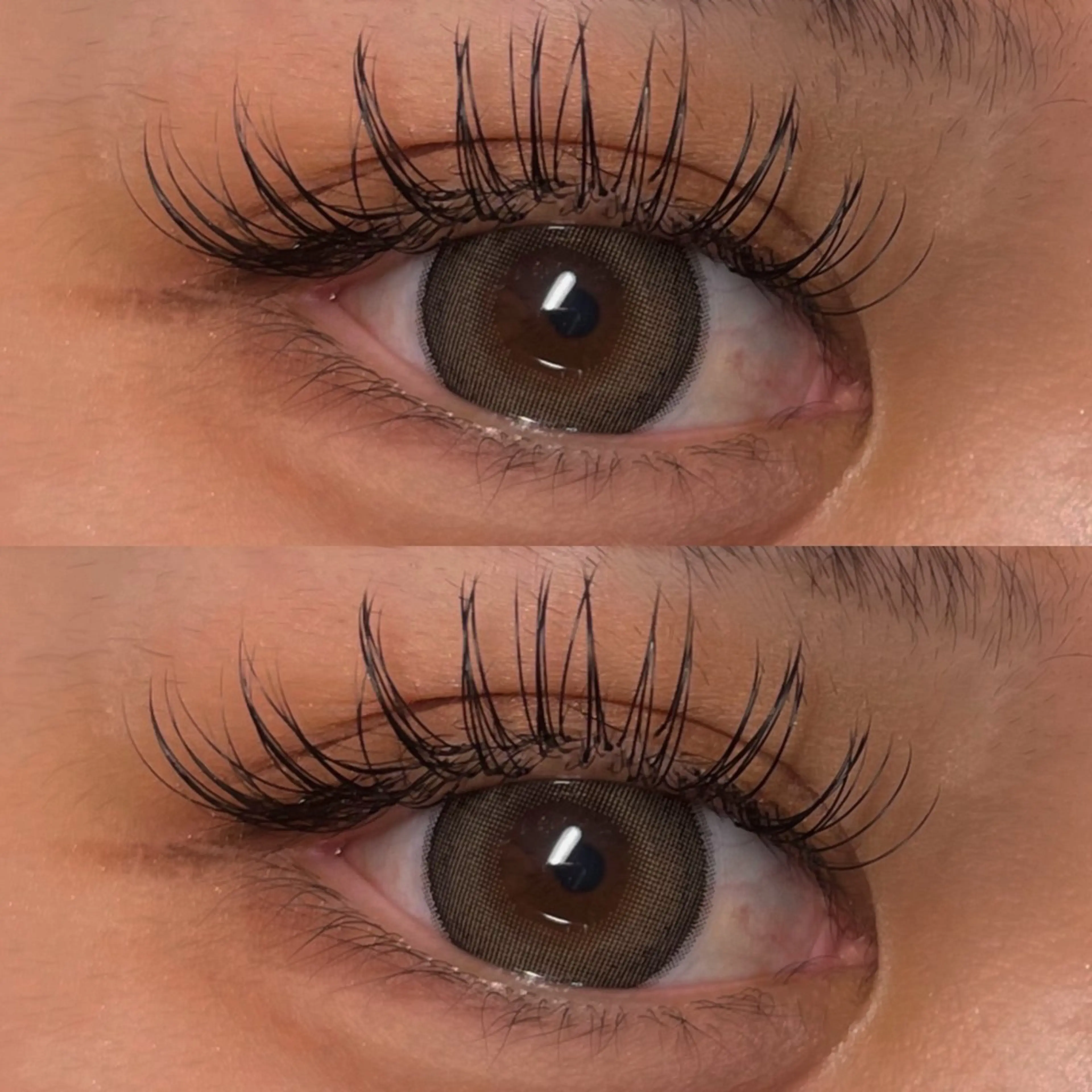 マツエク・マツパ フラットラッシュ arbis Morotaのマツエク・マツパデザイン