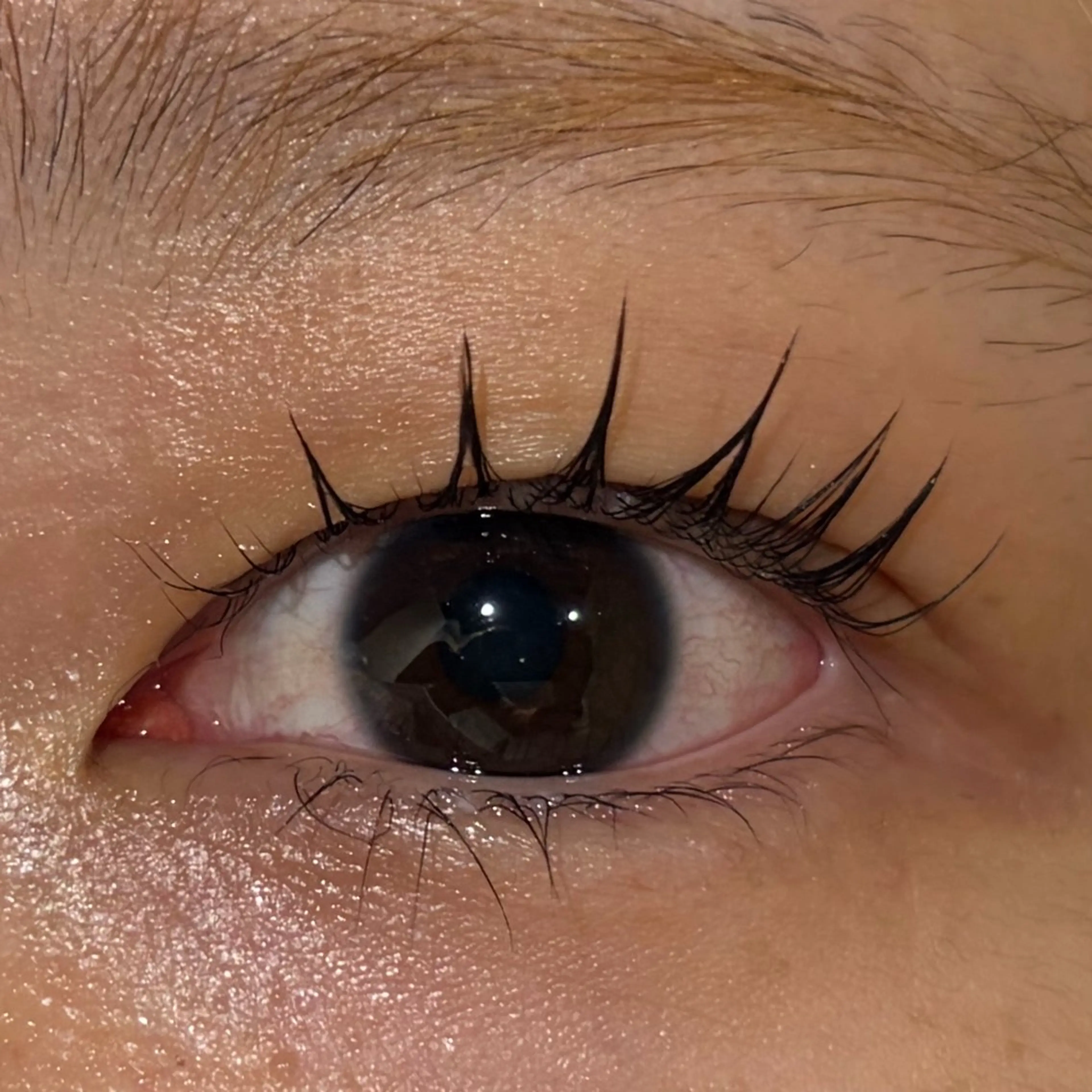 マツエク・マツパ マツパ ななみ.⋆𝜗𝜚 暖色艶カラー/まつパのヘアスタイル