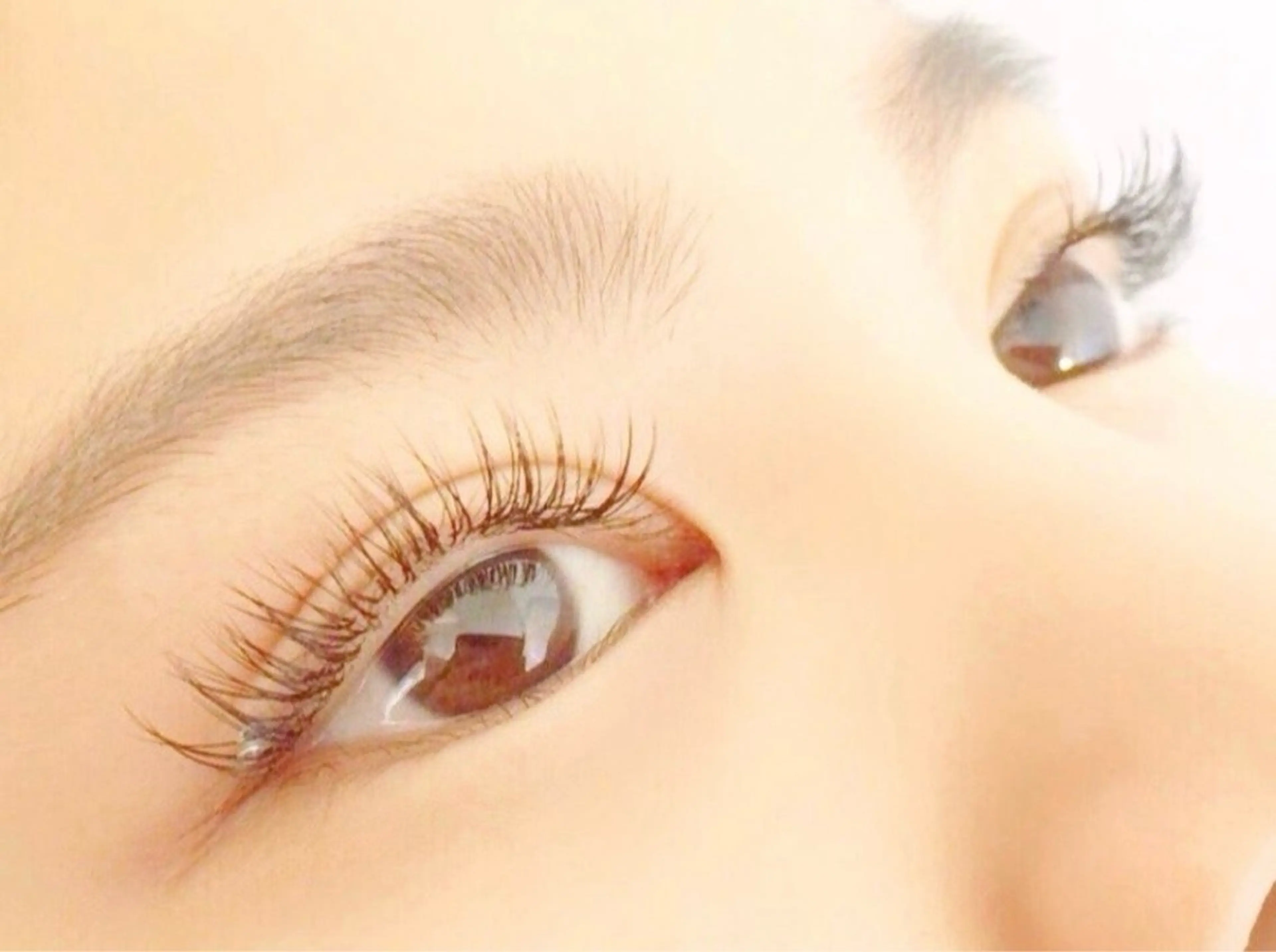 【限定🌟練習モデル募集】《オフなし》フラットラッシュ80本 ミニモ限定クーポン ￥1800🎀の写真